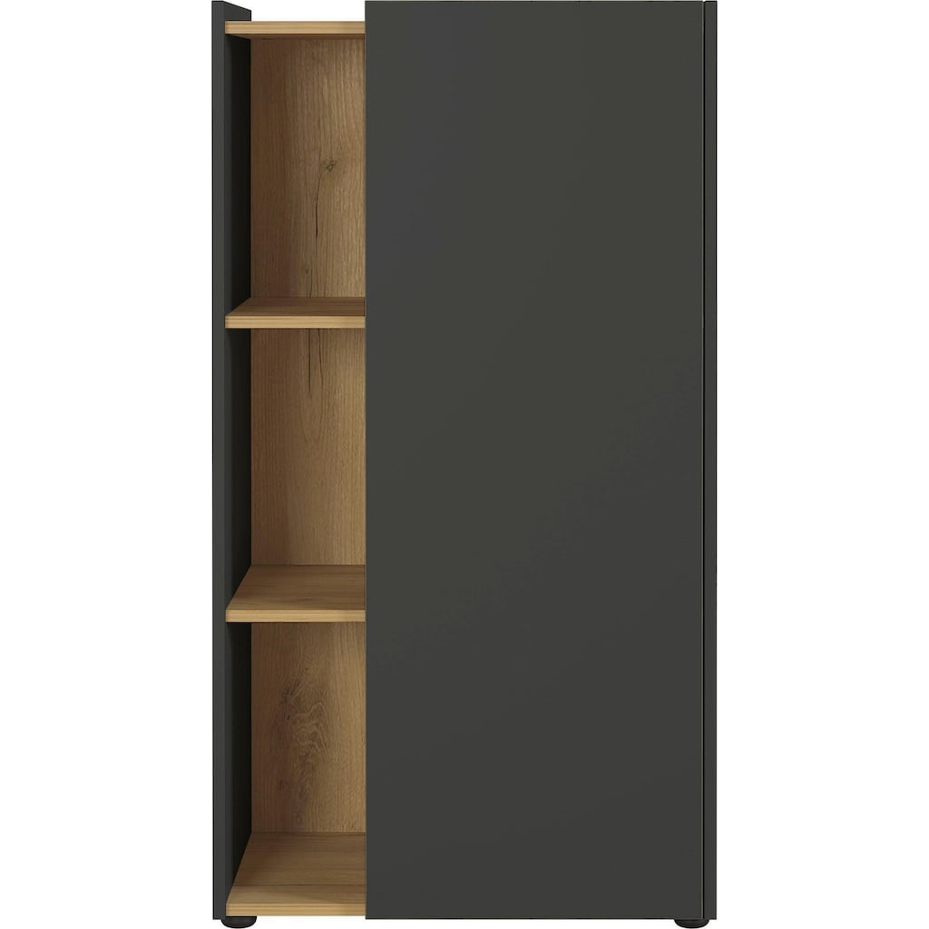 GERMANIA Aktenschrank »GW-AUSTIN, Mehrzweckschrank,«, moderne Kommode, Maße 62x42x115 cm, Made in Germany