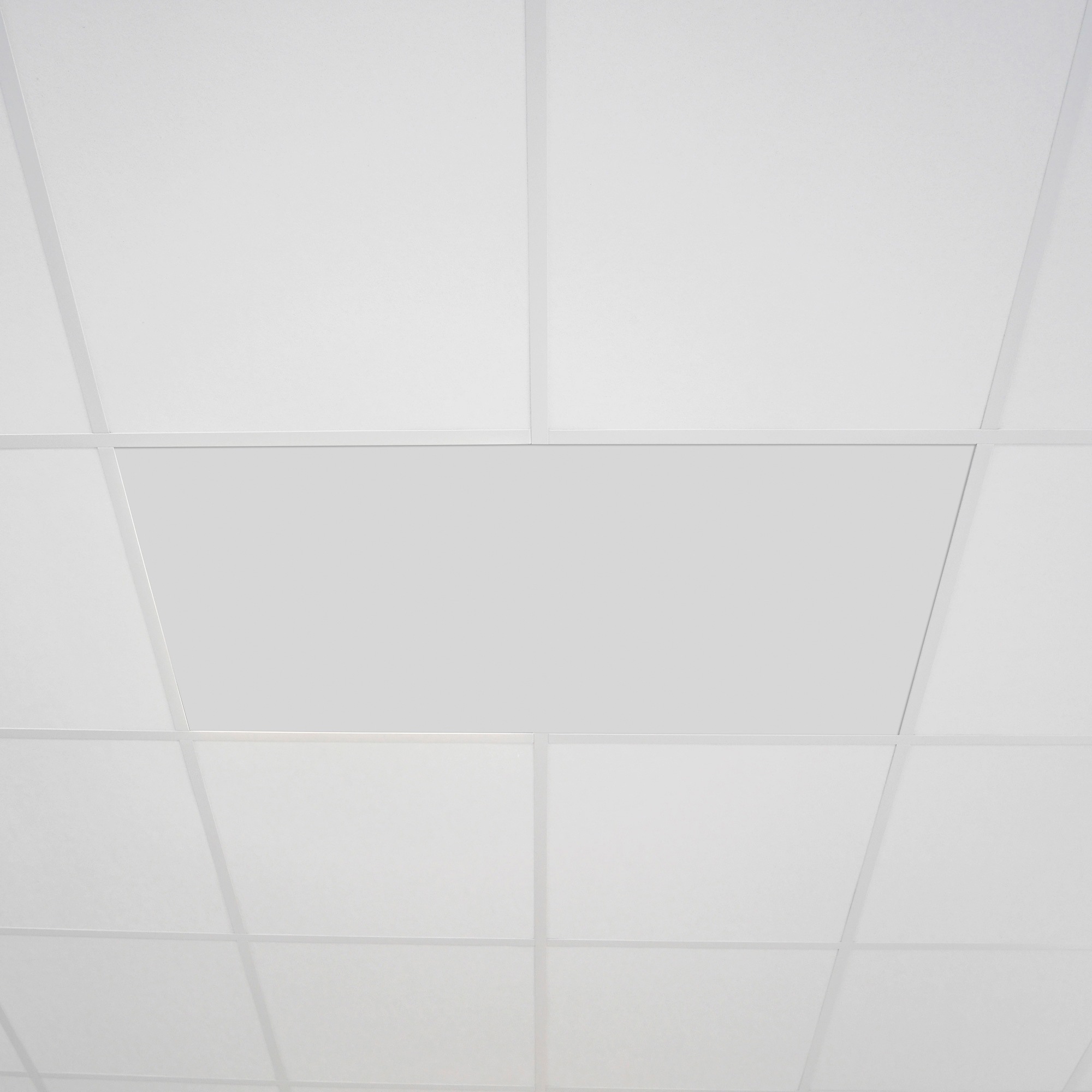 VASNER Infrarotheizung »InfraRaster 60D« Stahl, 700 W, 60x120 cm weiß 0