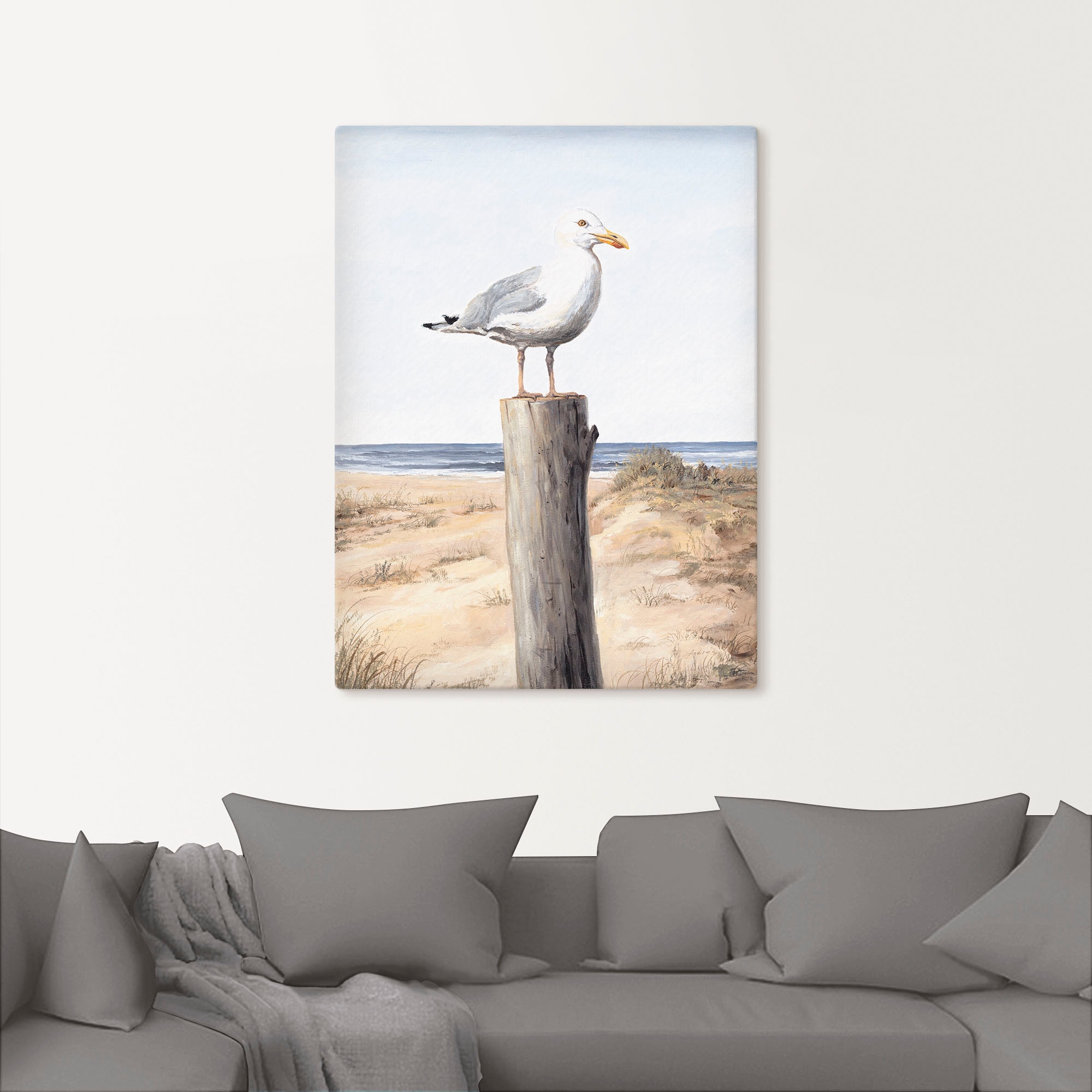 Artland Wandbild »Möwe«, Vögel, (1 St.), als Alubild, Outdoorbild, Leinwand günstig online kaufen