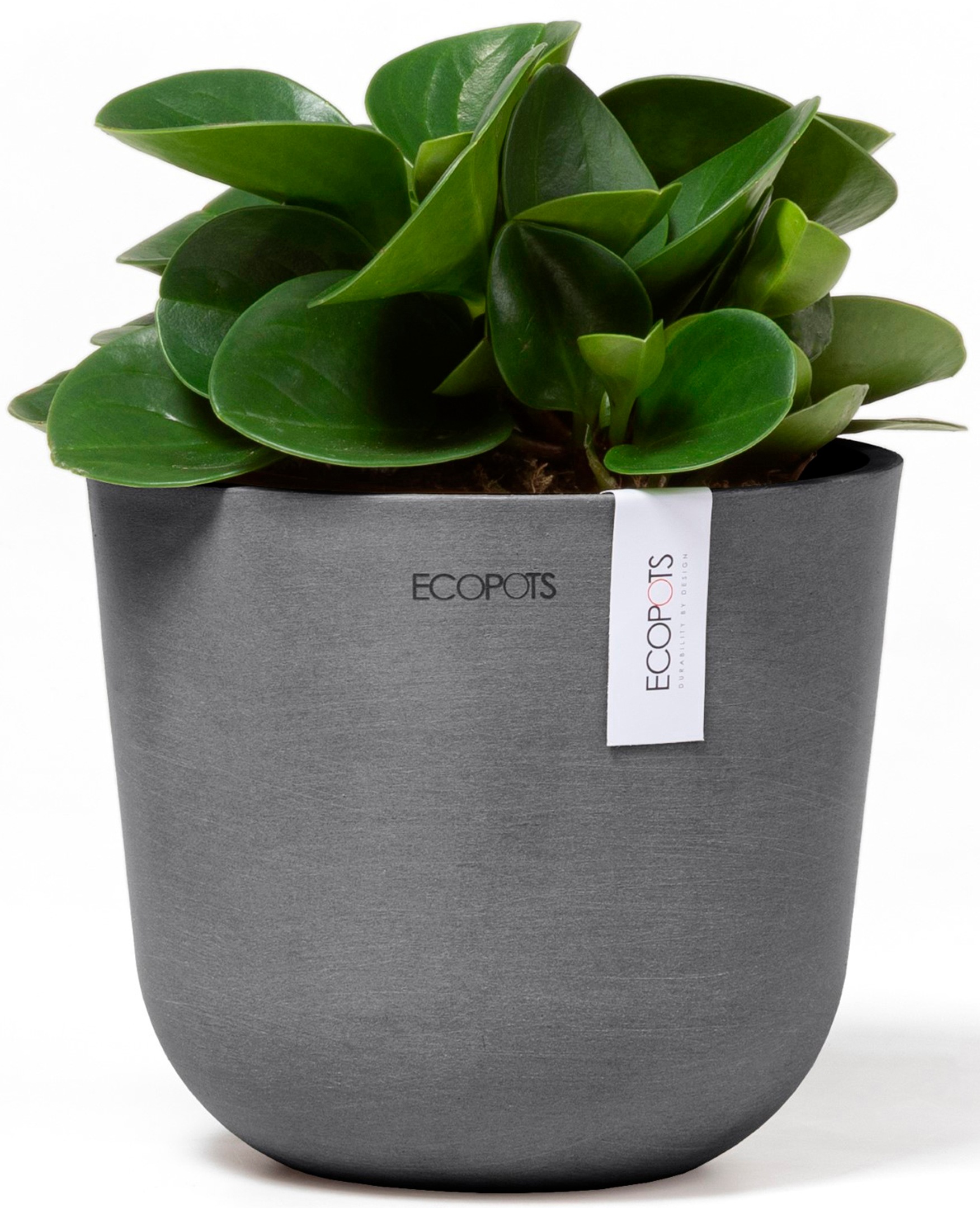 ECOPOTS Blumentopf »Oslo Mini 16 Grau«, für den Innenbereich