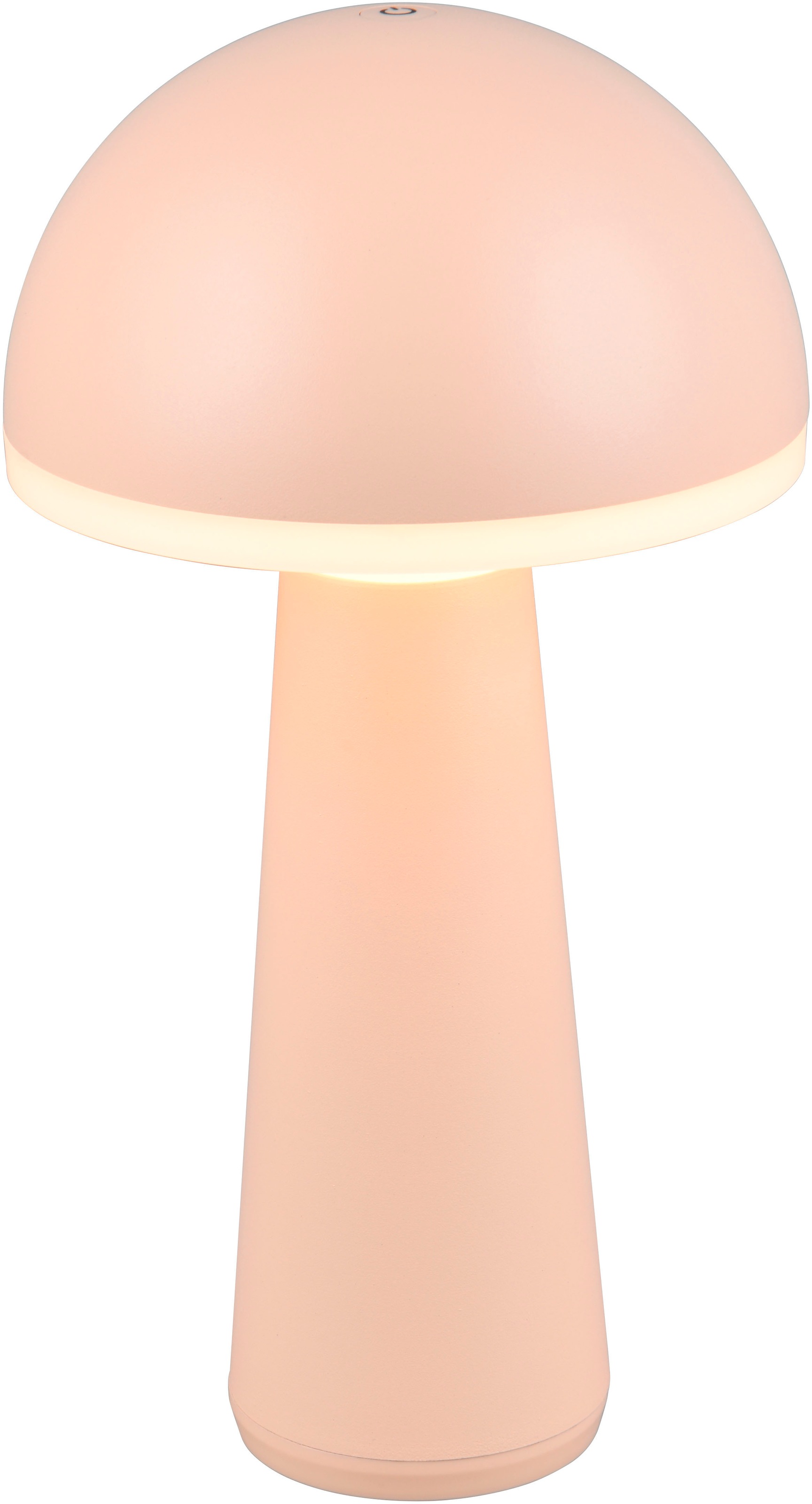 REALITY Leuchten LED Außen-Tischleuchte »FUNGO« LED-Board 1 Stk. warmweiß - günstig online kaufen