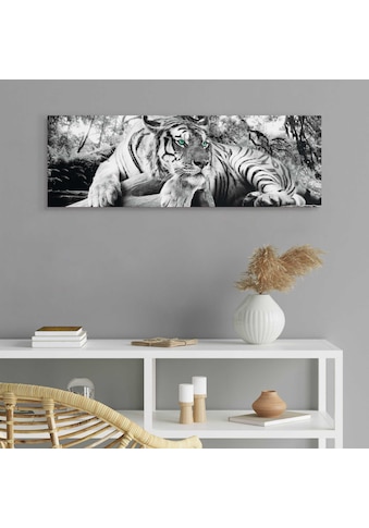 Deco-Panel »Tiger guckt dich an«
