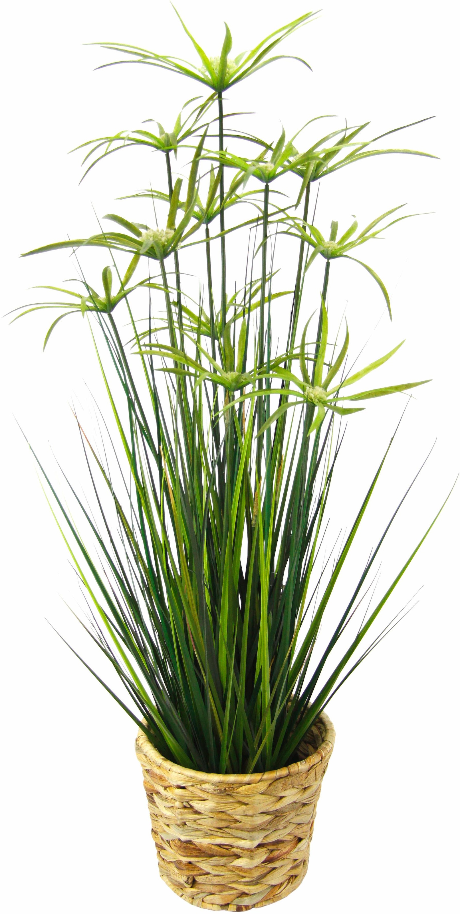 I.GE.A. Kunstpflanze »Zyperngras in Wasserhyazinthentopf«, (1 St.) auf  Rechnung kaufen