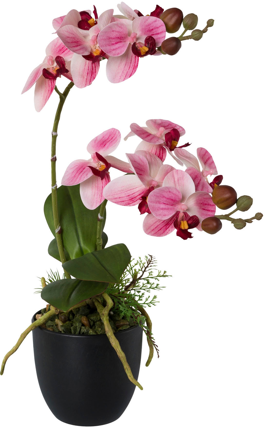Creativ green Kunstorchidee »Phalaenopsis«, (1 St.), im Kunststofftopf kaufen