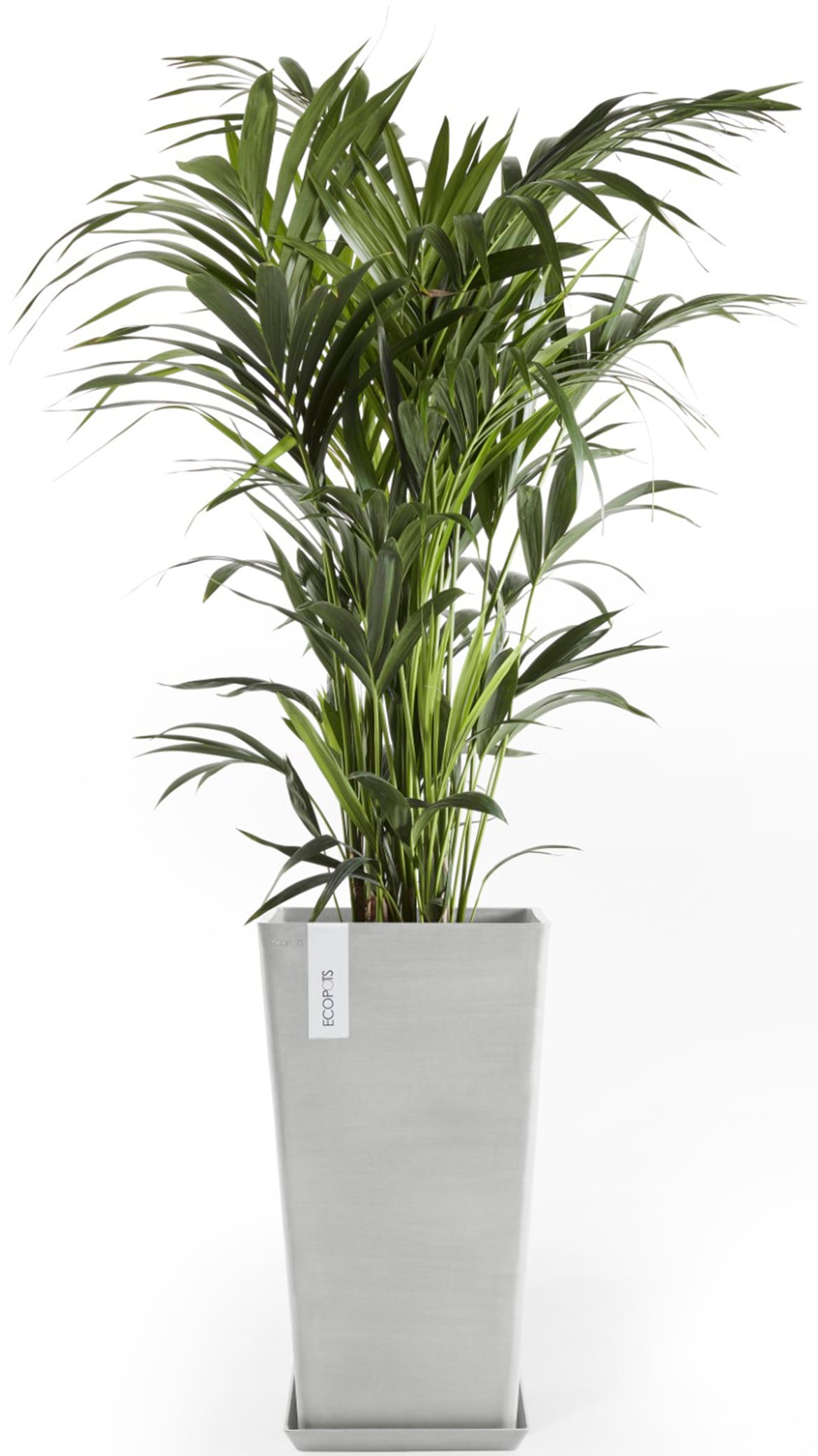 ECOPOTS Blumentopf »Rotterdam halbhoch 56 Weißgrau« für innen und außen: frostsicher, bruchsicher und lichtbeständig