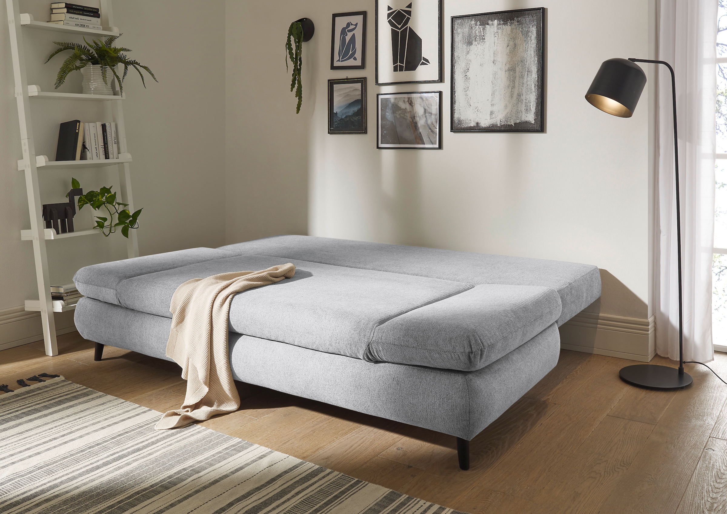 ED EXCITING DESIGN Schlafsofa »Sunny«, mit Bettfunktion, Armteilverstellung, Bettkasten sowie Rückenkissen