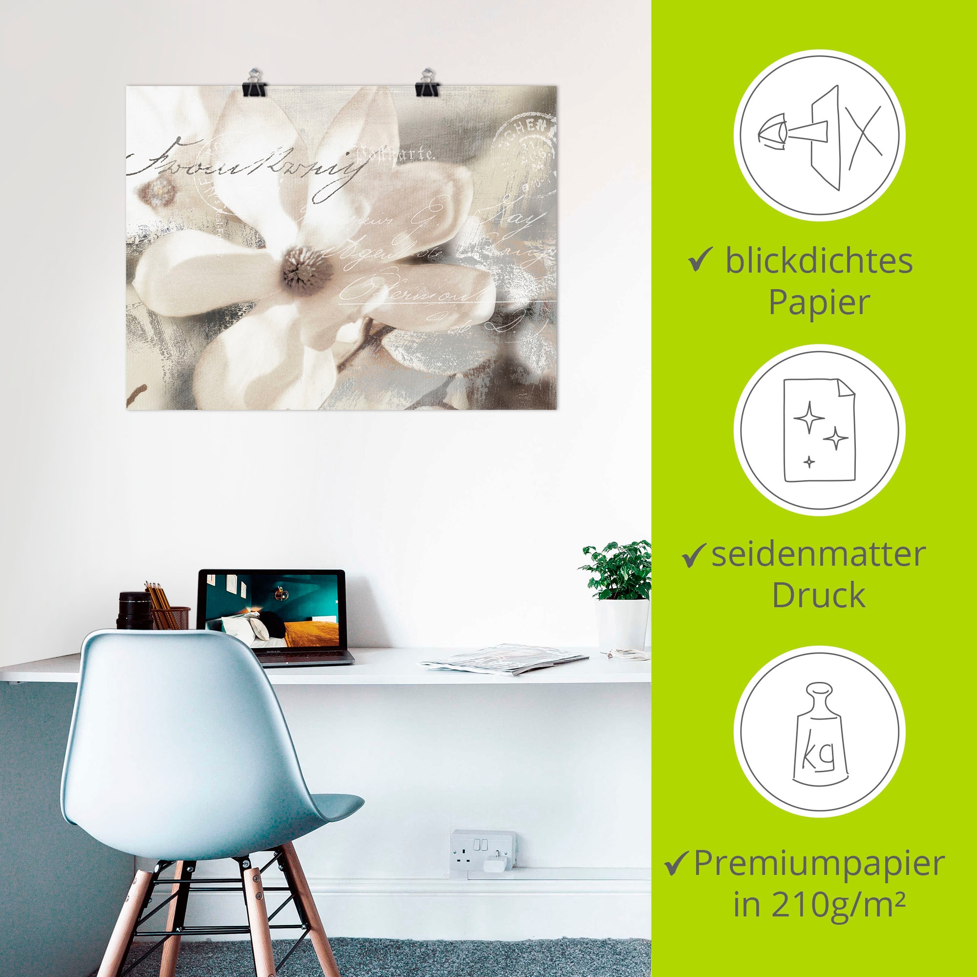 Artland Wandbild »Magnolie_Detail«, Blumenbilder, (1 St.), als Alubild, Outdoorbild, Leinwandbild, Poster, Wandaufkleber