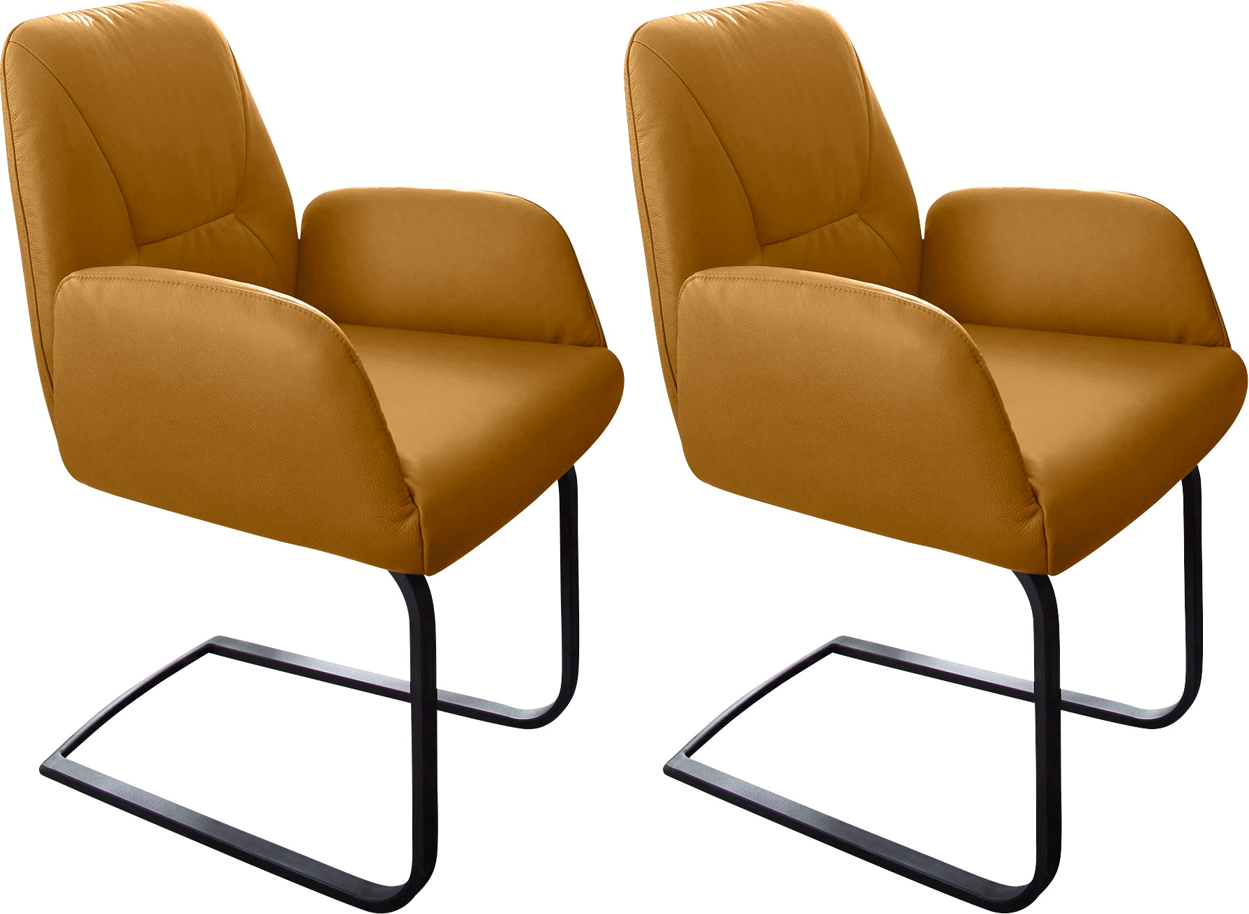 W.SCHILLIG Freischwinger »ole« (Set) 2 Stk. Longlife Xtra-Leder Z69 2er- od günstig online kaufen