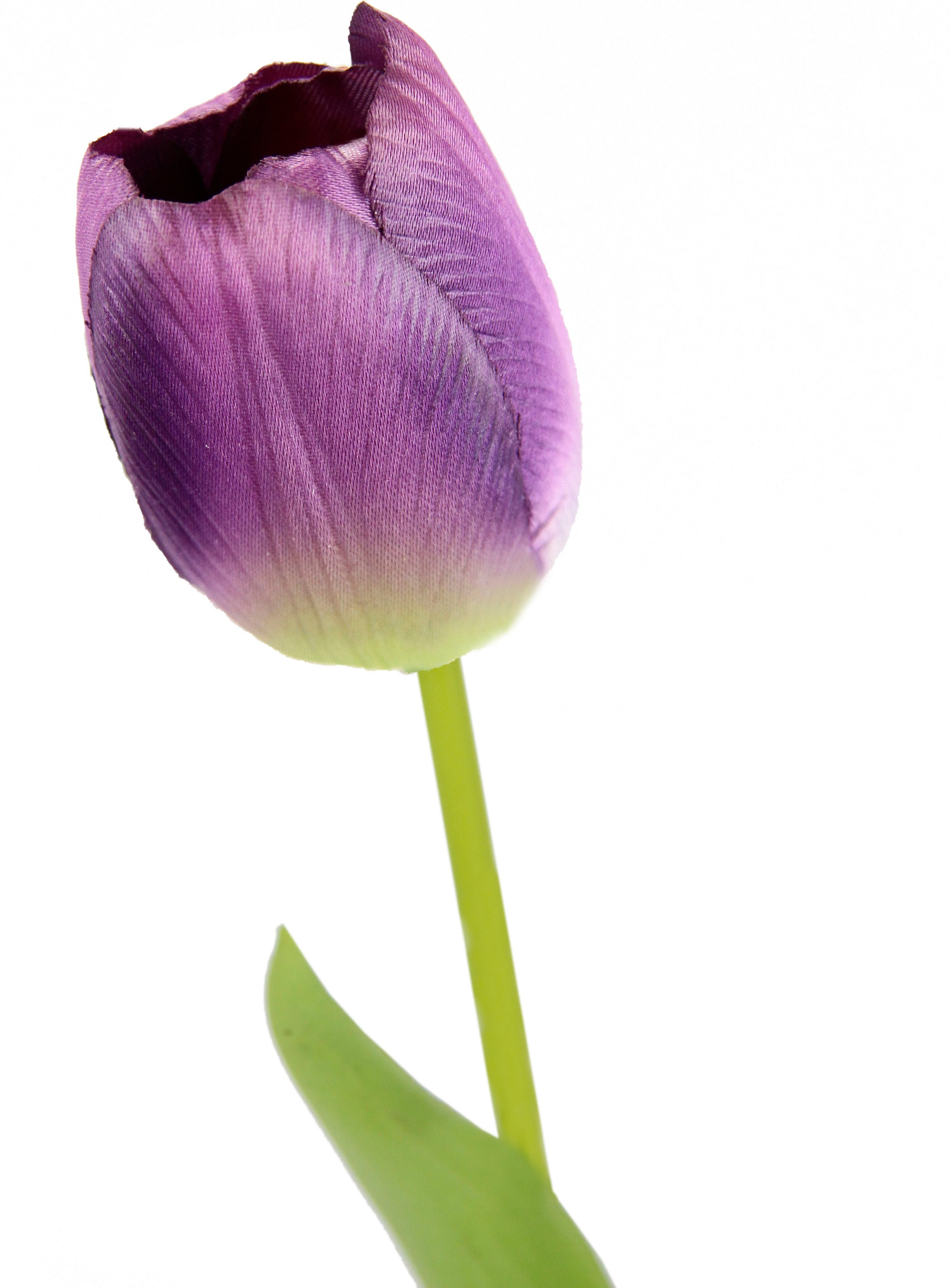 I.GE.A. Kunstblume »Real Touch Tulpen«, 5er Set künstliche Tulpenknospen, Kunstblumen, Stielblume