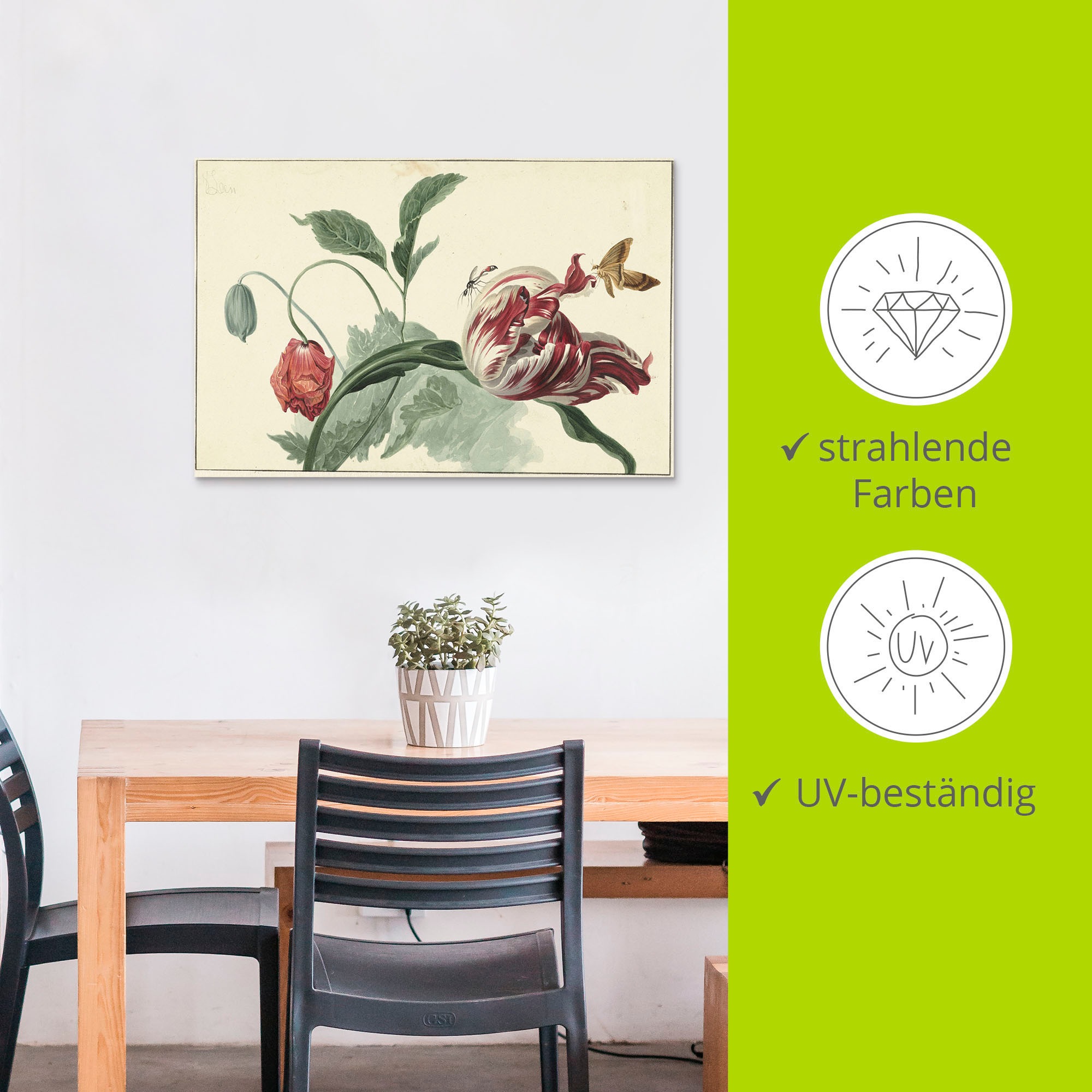Artland Wandbild »Tulpe und Mohn.«, Blumenbilder, (1 St.), als Alubild, Outdoorbild, Leinwandbild, Poster in verschied. Größen