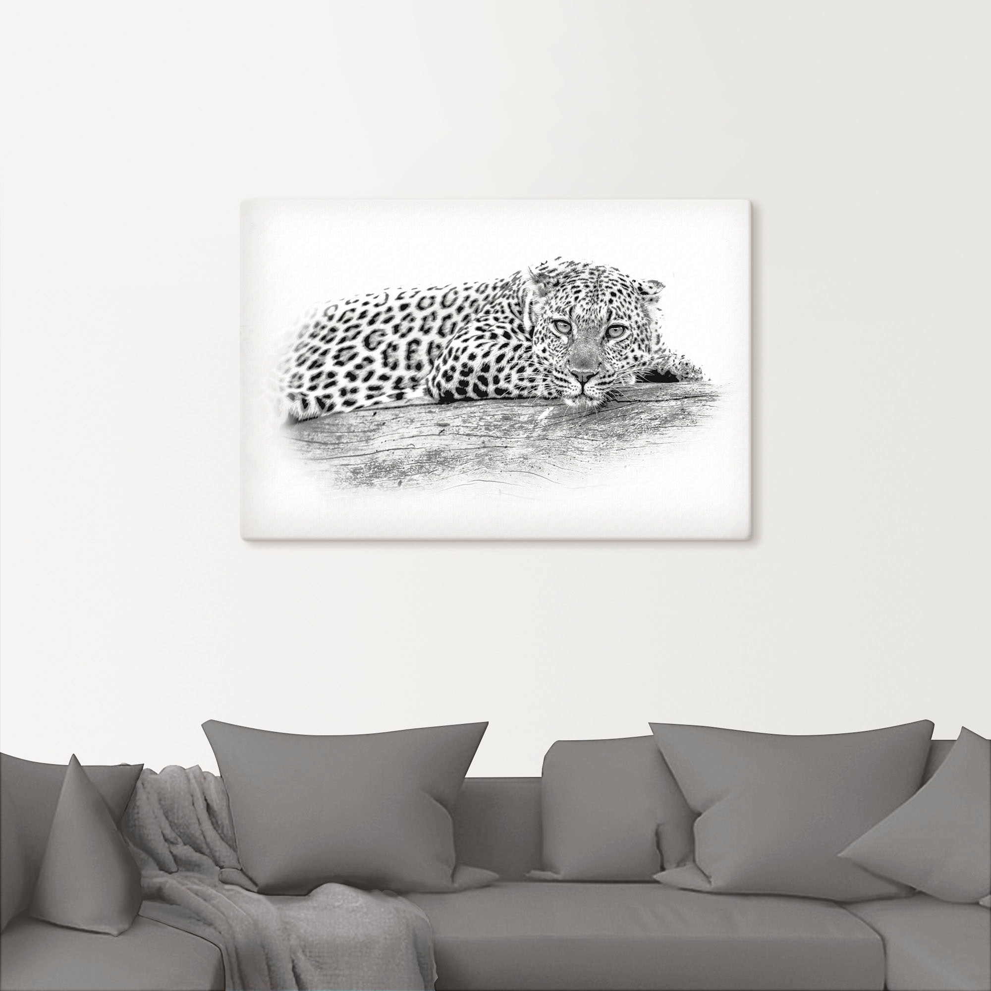 Artland Wandbild »Leopard High Key Optik«, Wildtiere, (1 St.), als Alubild, Leinwandbild, Wandaufkleber oder Poster in versch. Größen