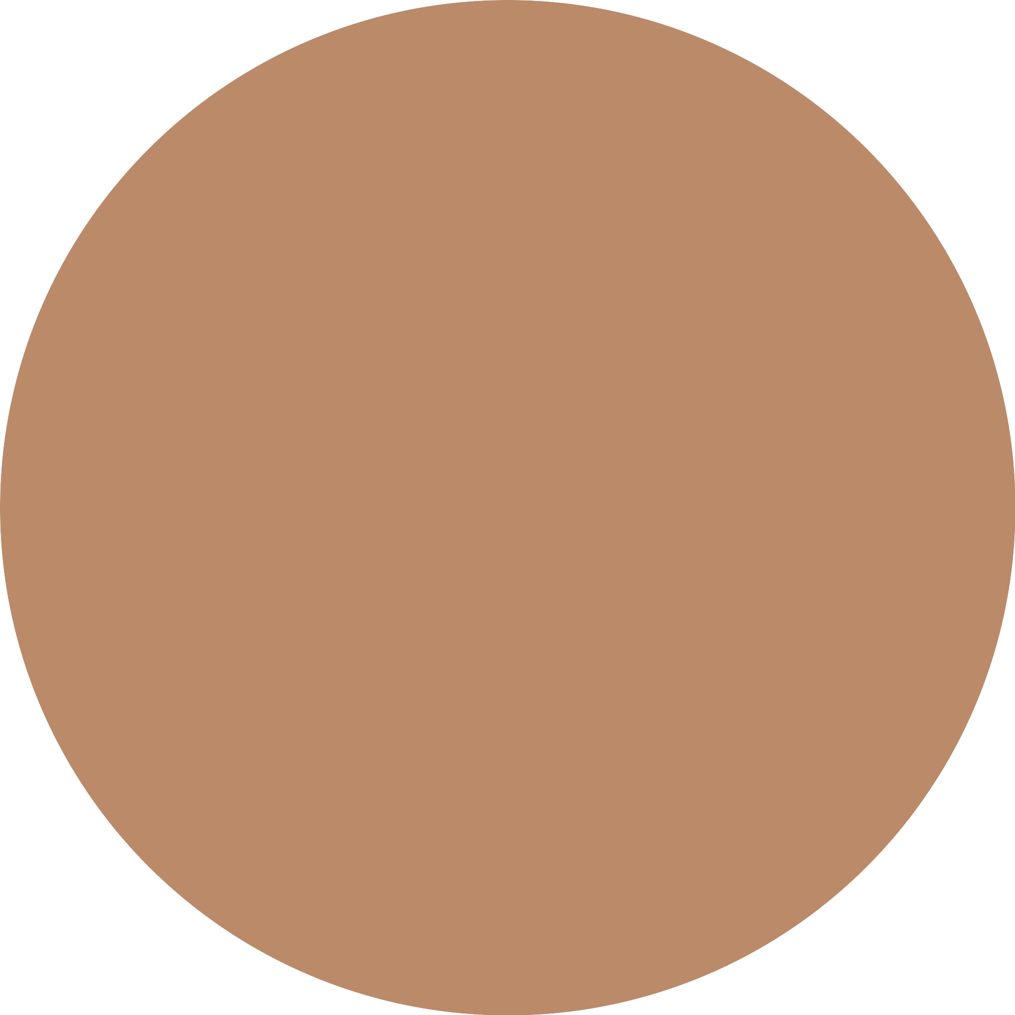 Essence Foundation »Silky BLUR HYDRATING LONGWEAR FOUNDATION«