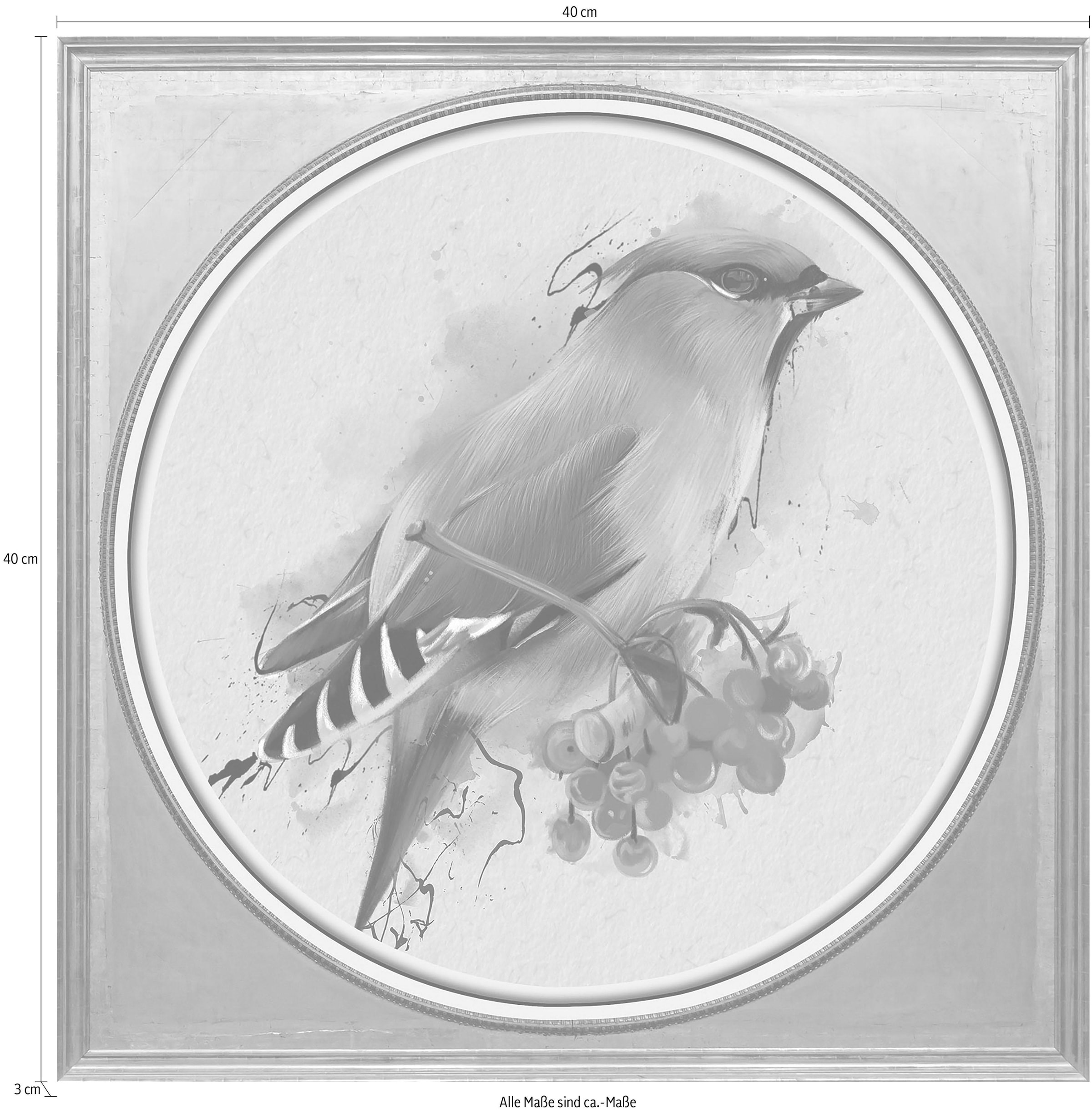 queence Acrylglasbild »Bunter Vogel I«, Kunst-Vögel-Vogelbilder-Obst-Gemälde, Fine Art-Print in Galeriequalität