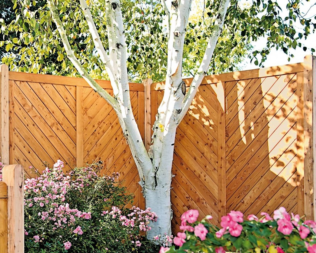 Tetzner & Jentzsch Dichtzaun »Springfield 4«, 6 Elemente, LxH: 1143x180 cm