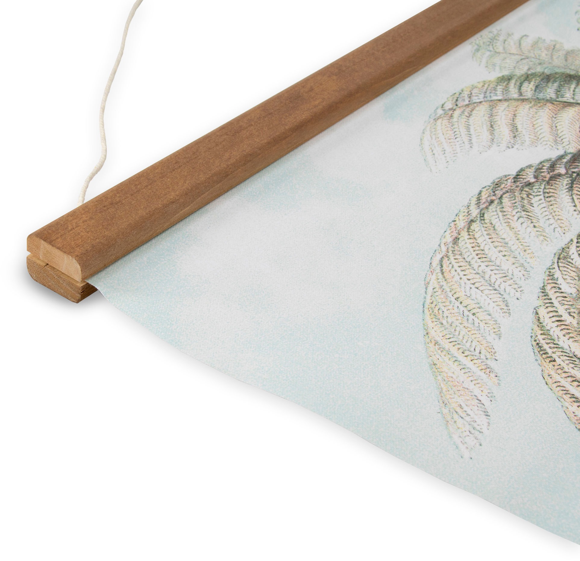 Art for the home Leinwandbild »Jungle Filicinae«, (1 St.), Luxus Kakemono Leinen Wandposter 100x70cm