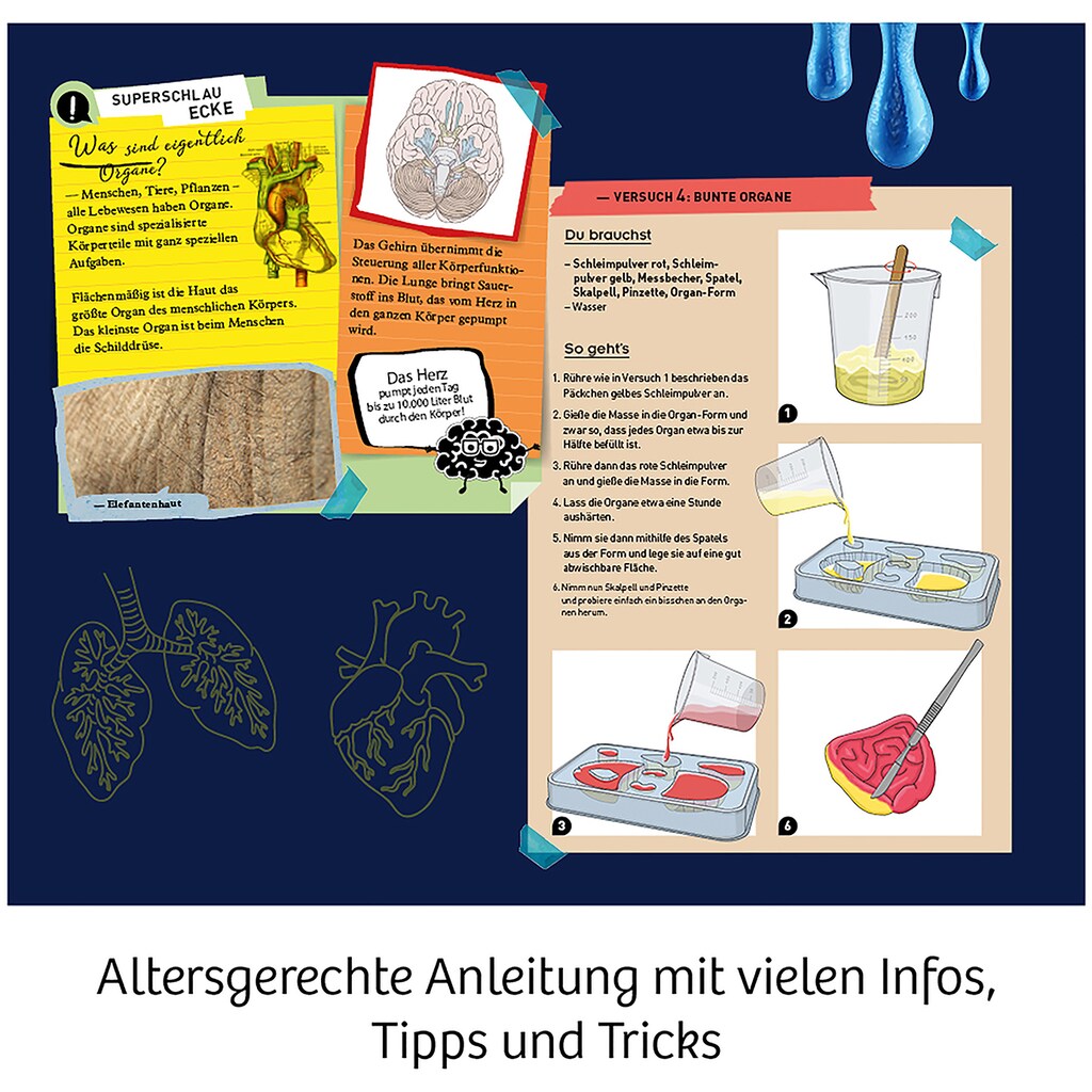 Kosmos Experimentierkasten »Fun Science Glibber-Organe«