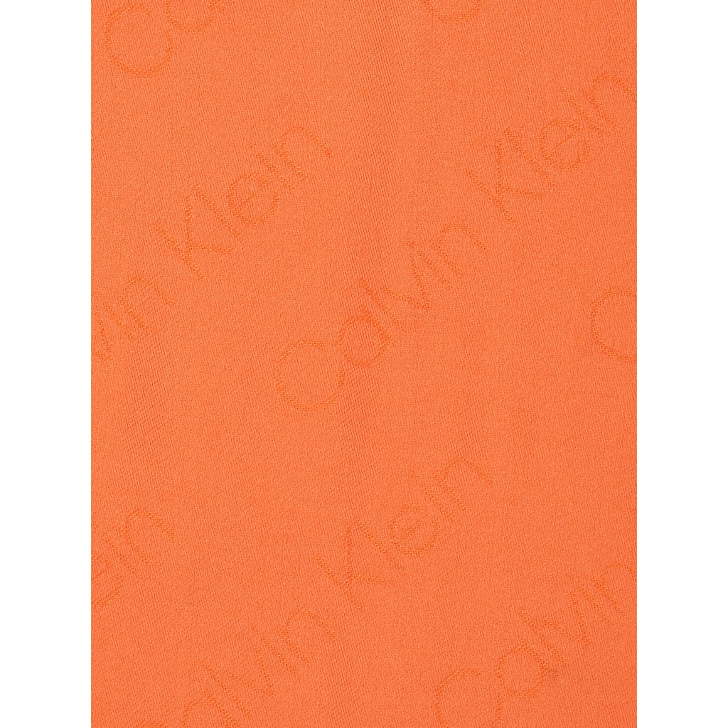 Calvin Klein Schal »LOGO JQ SCARF O/PRINT 70X180«