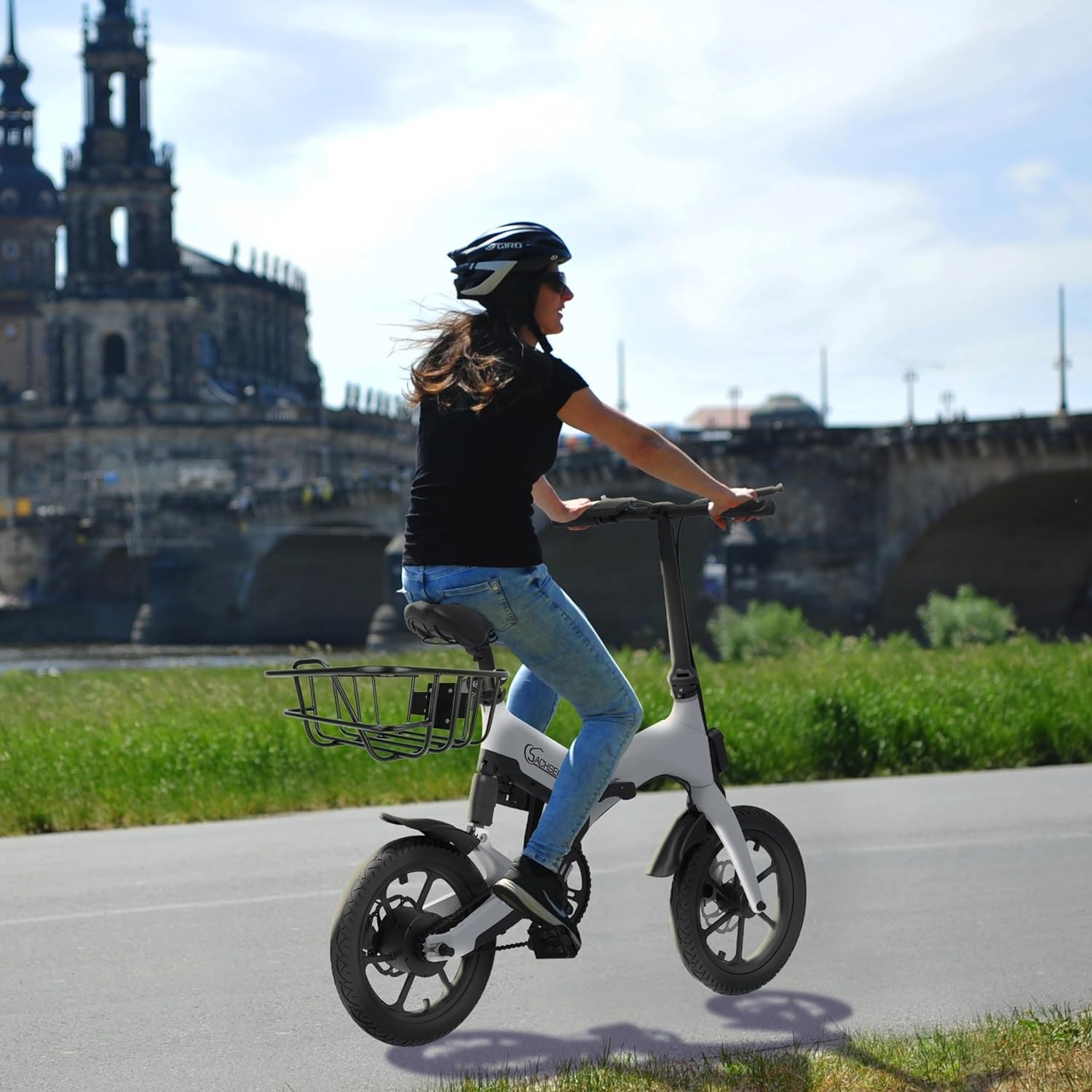 SachsenRad Fahrradkorb »Pro für SachsenRAD F11 F12«