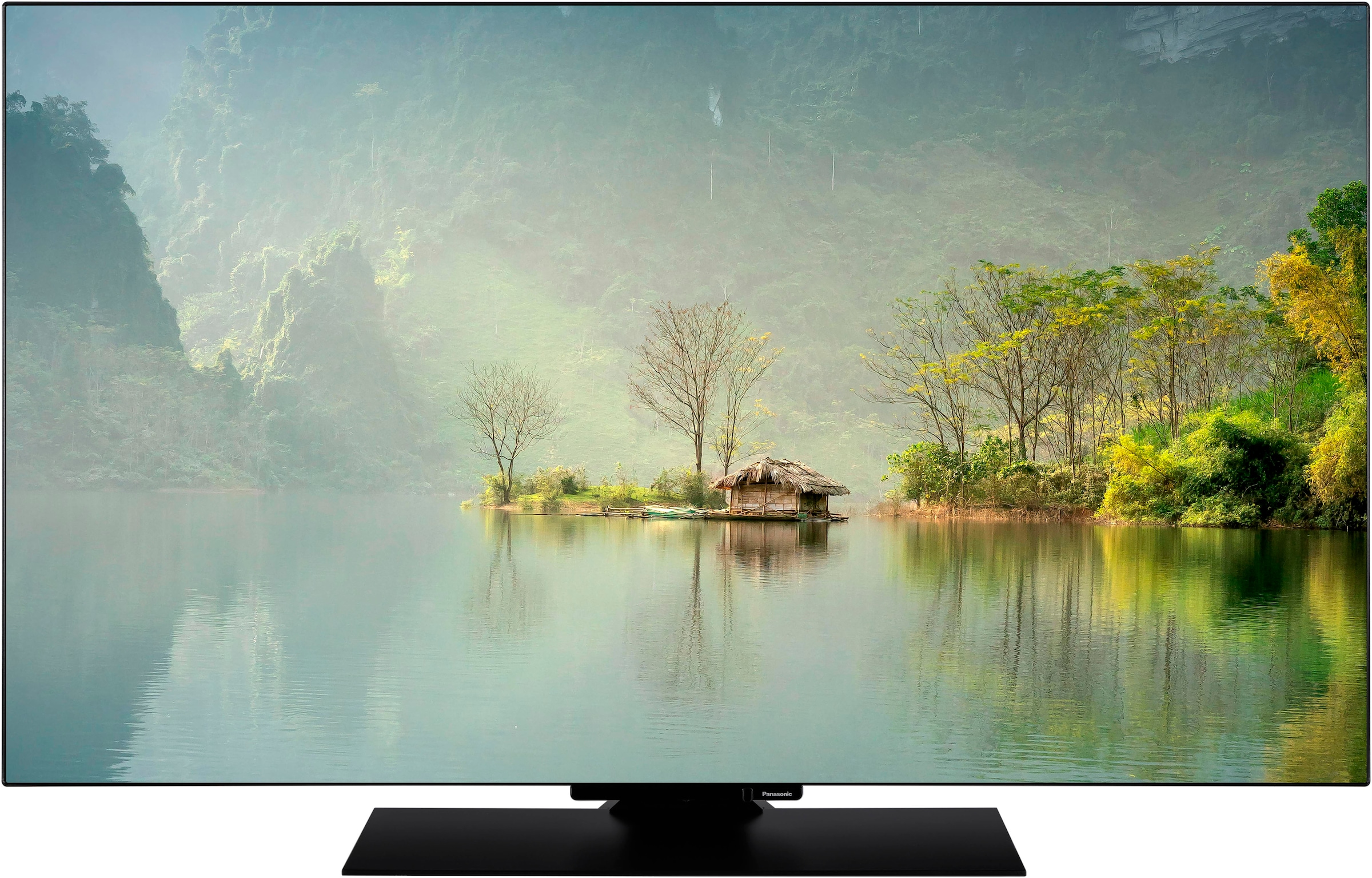 Panasonic OLED-Fernseher »TV-48Z80AEZ«, 4K Ultra HD, Smart-TV