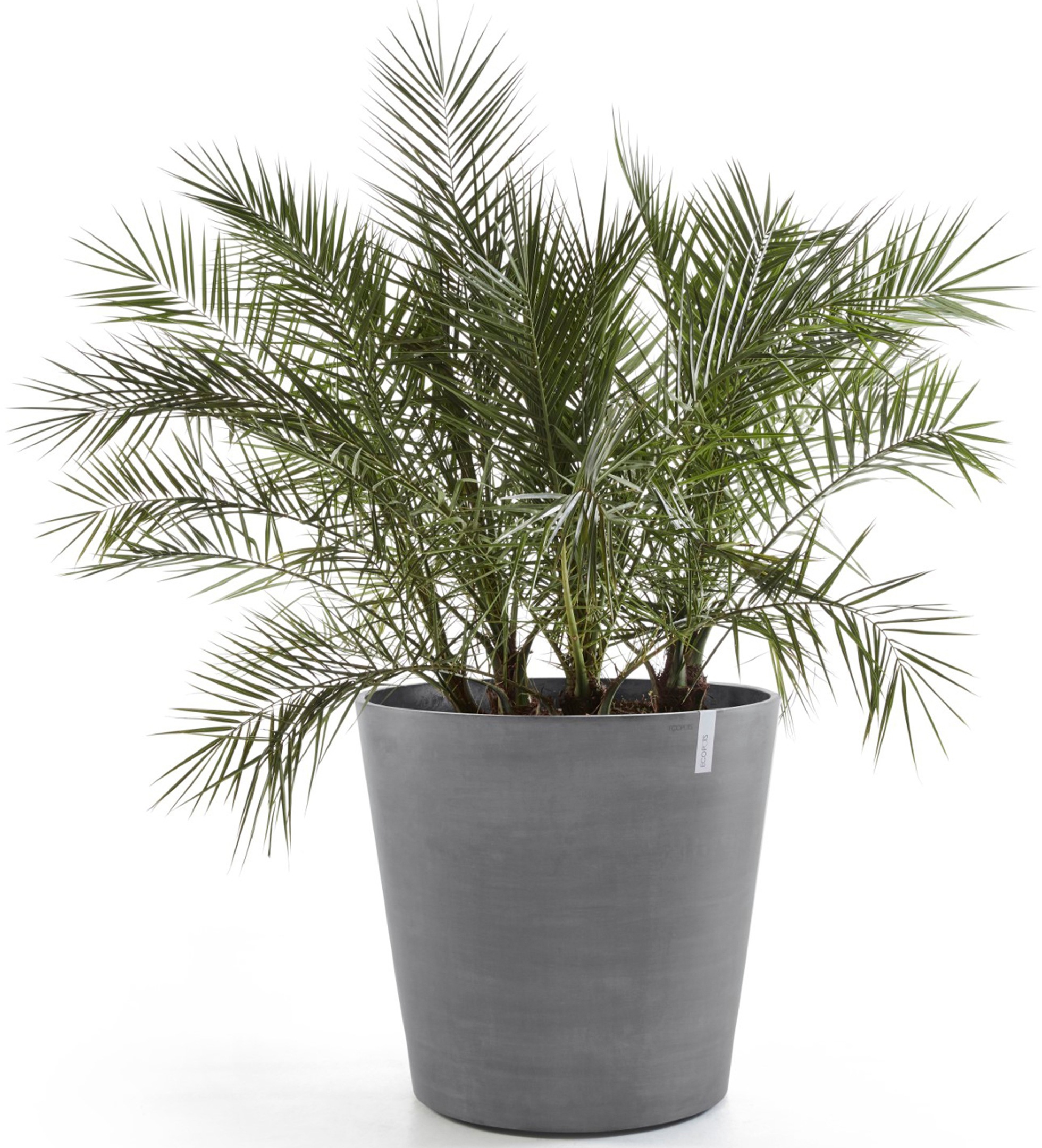 ECOPOTS Blumentopf »Amsterdam mit Rollen 100 Grau«, für innen und außen: frostsicher, bruchsicher und lichtbeständig