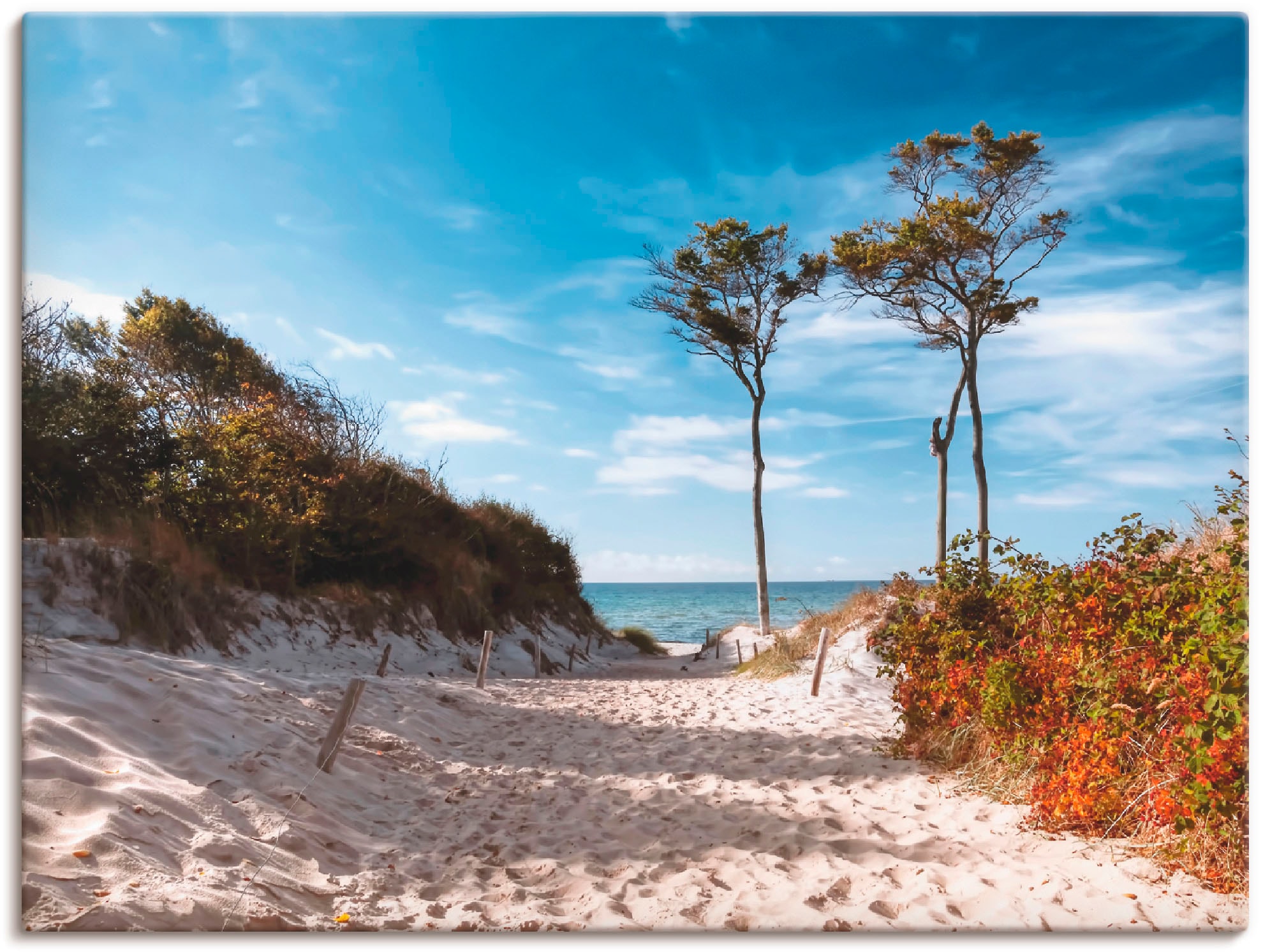 Artland Wandbild »Weststrand Darss« Strand 1 Stk. tlg. als Leinwandbild, Po günstig online kaufen