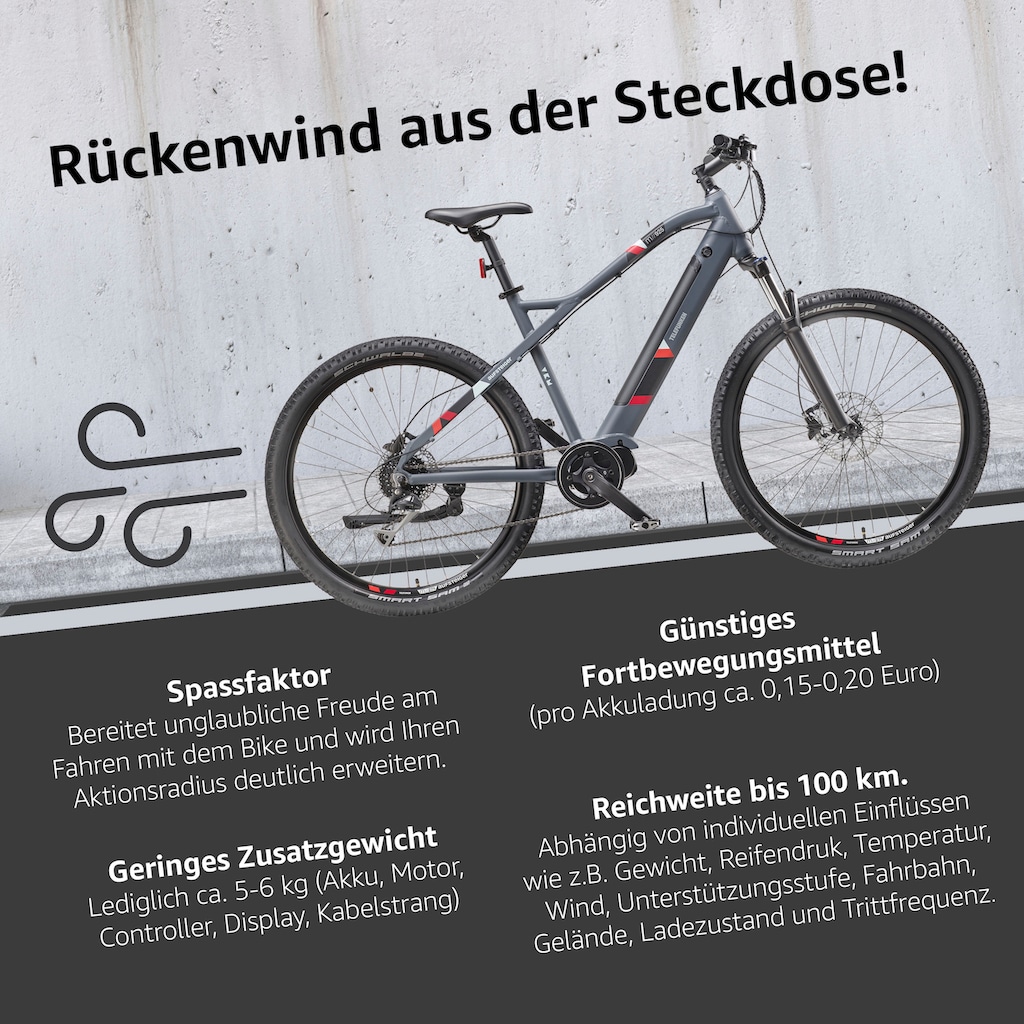 Telefunken E-Bike »Aufsteiger M925«, 8 Gang, Shimano, Acera, Mittelmotor 250 W