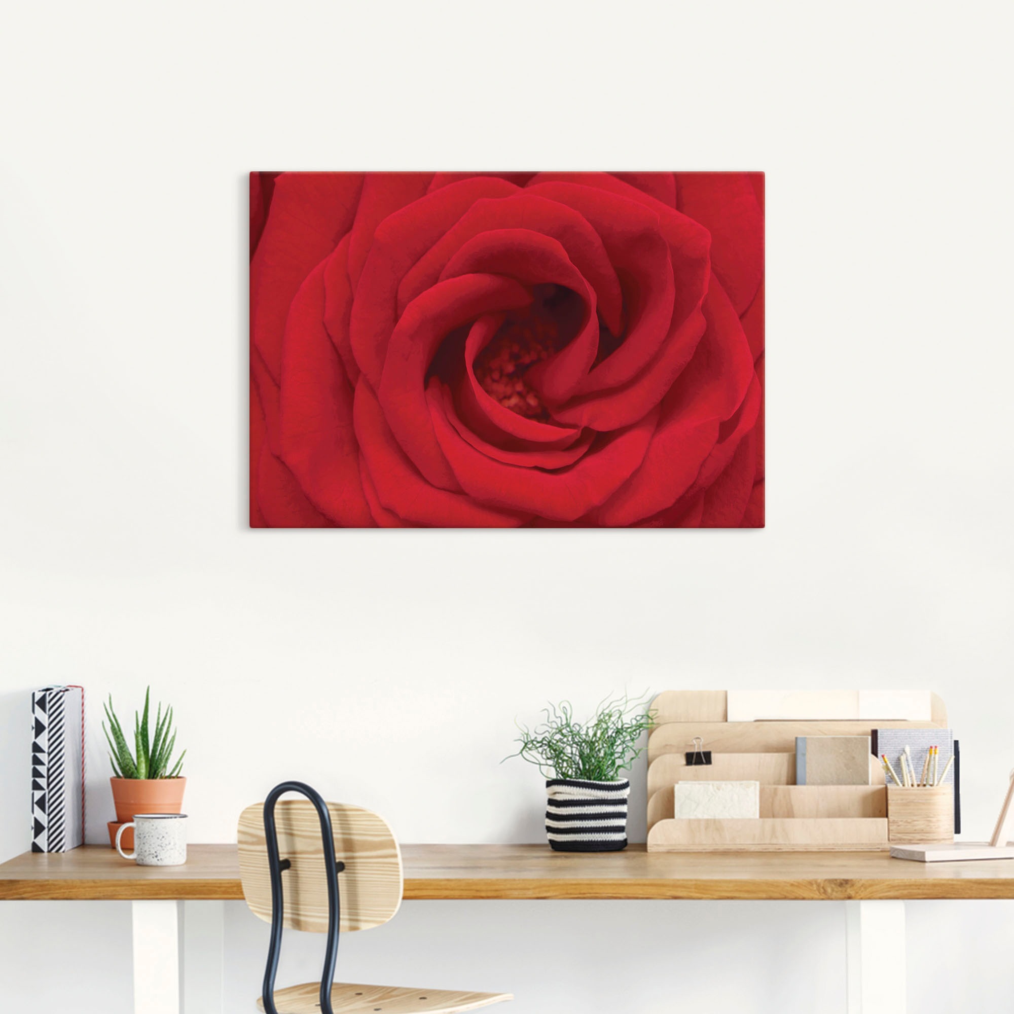 Artland Wandbild »Rote Rose« 1 Stk. tlg. als Alubild, Outdoorbild, Leinwand günstig online kaufen
