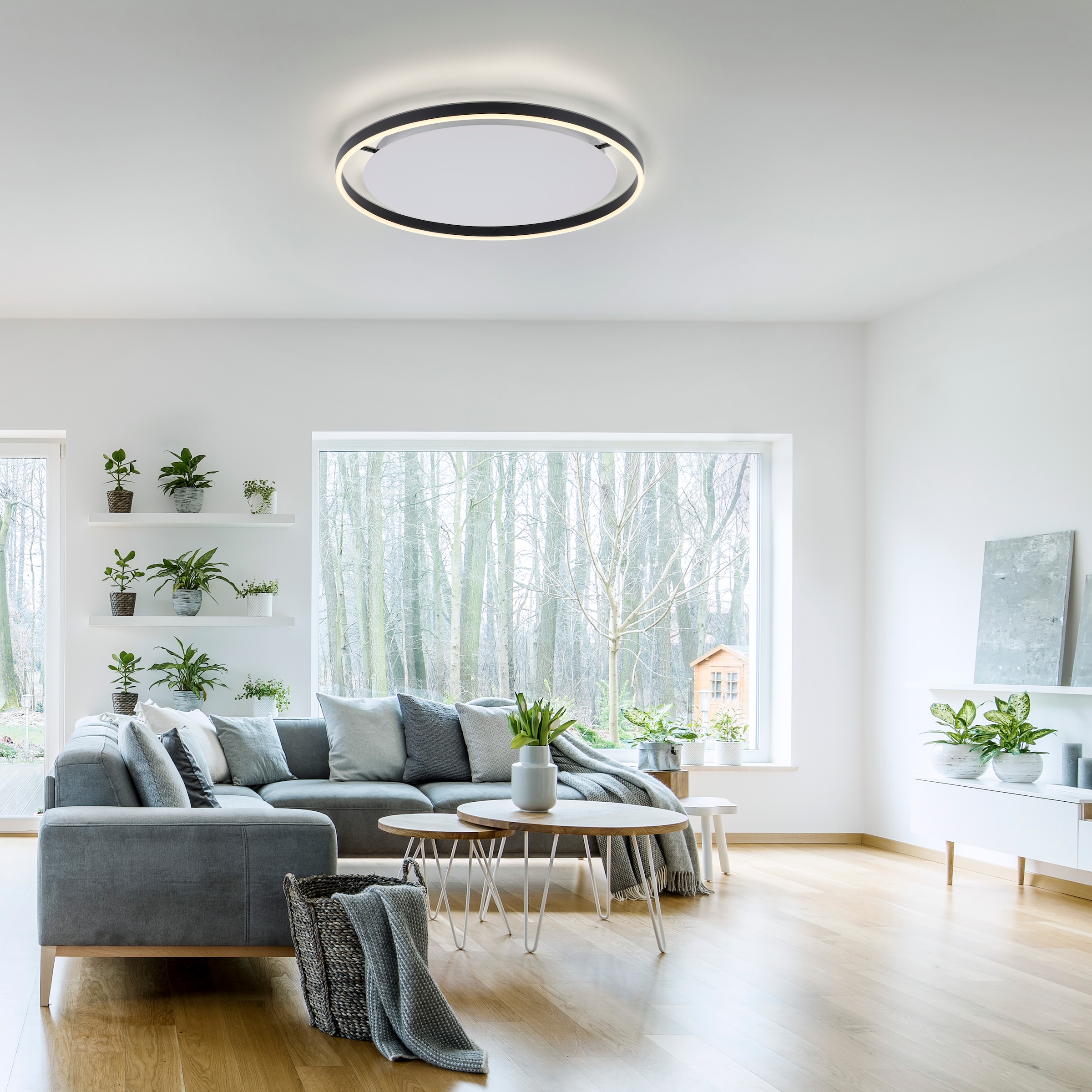 JUST LIGHT Deckenleuchte »RITUS«, 1 flammig, Leuchtmittel LED-Board | LED fest integriert, LED, dimmbar, Switchmo, dimmbar, Switchmo