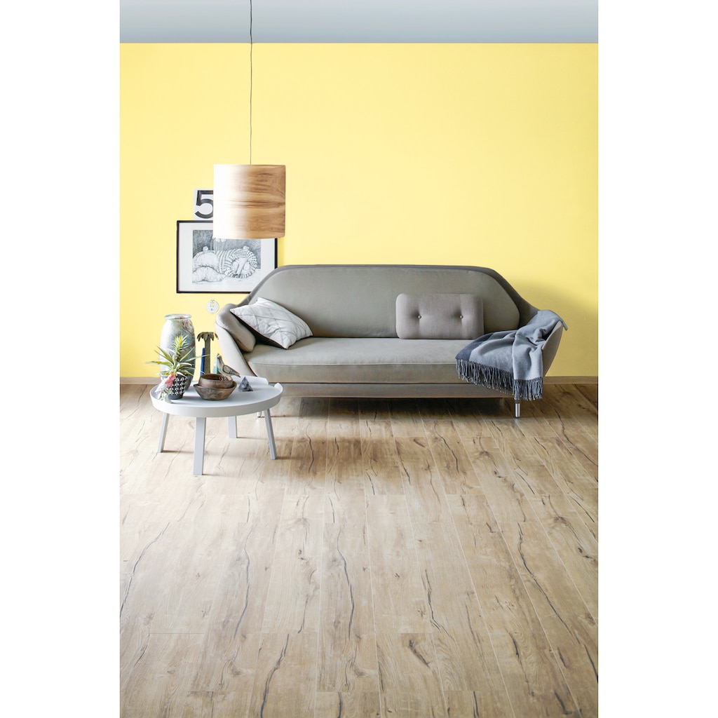 SCHÖNER WOHNEN-Kollektion Wand- und Deckenfarbe »Trendfarbe«, 2,5 Liter, Vanilla, hochdeckende Wandfarbe - für Allergiker geeignet