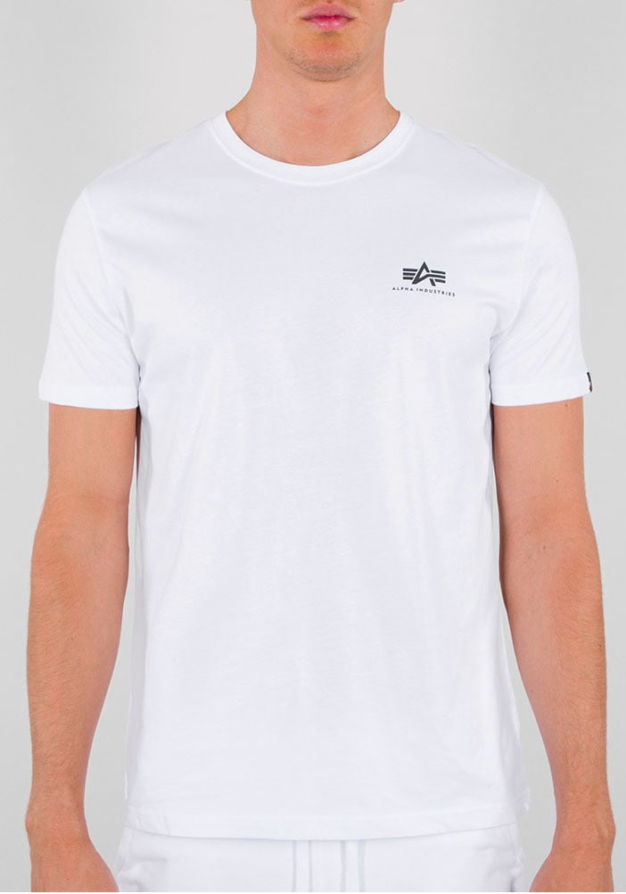 Alpha Industries Rundhalsshirt »Backprint T«