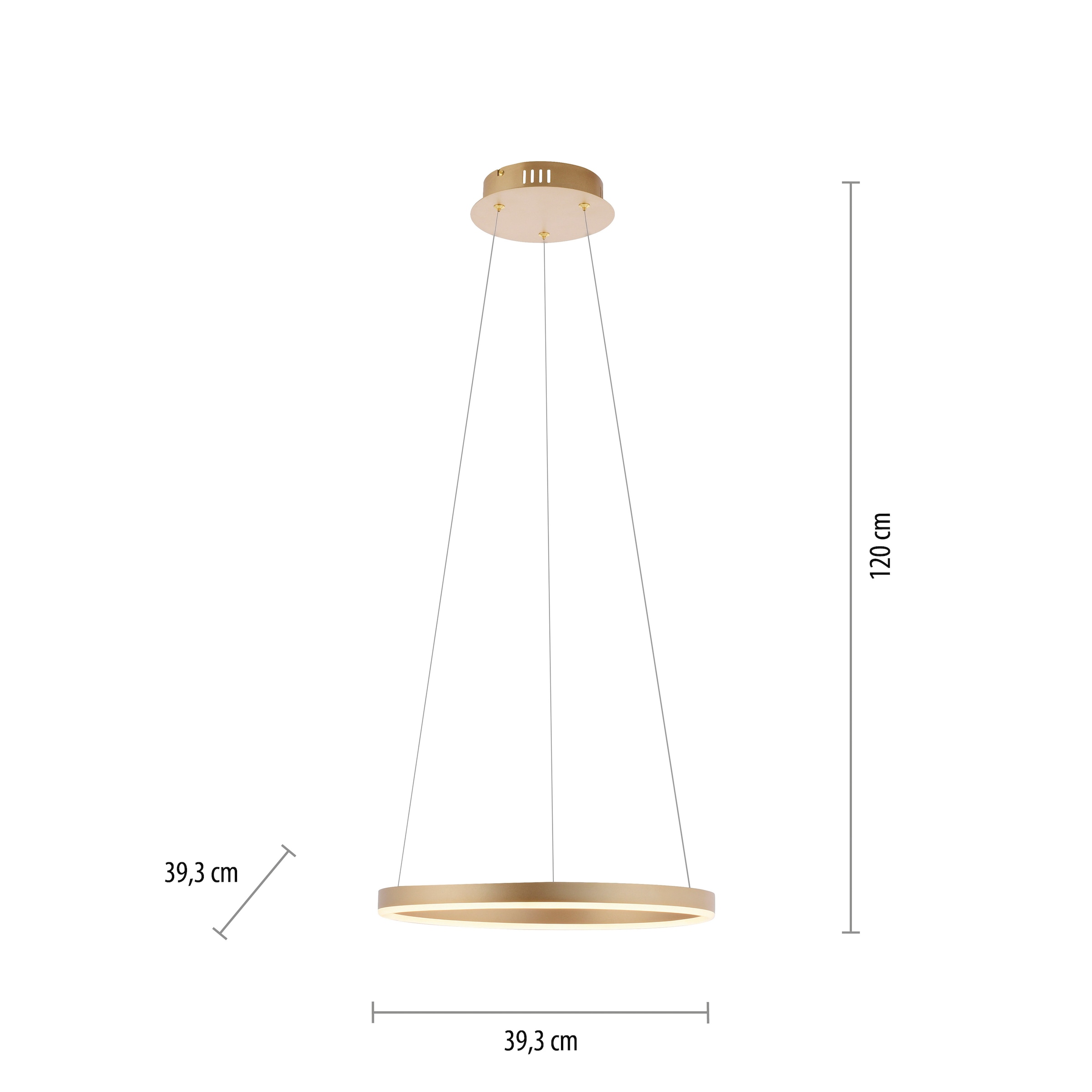 Leuchten Direkt Pendelleuchte »RITUS«, 1 flammig, Leuchtmittel LED-Board | LED fest integriert