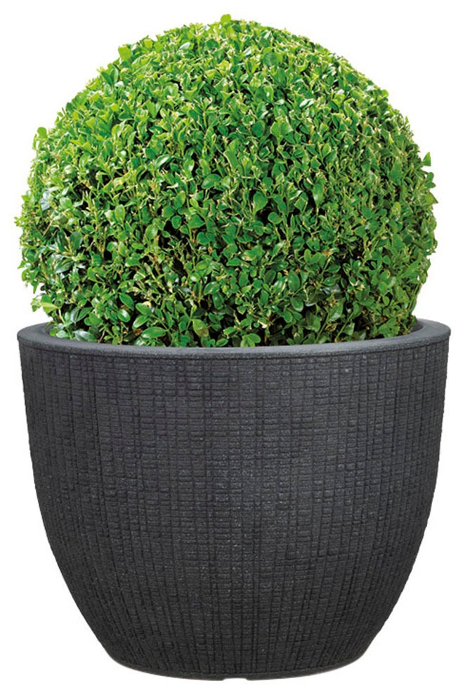 Scheurich Blumentopf »30/295 BARCEO«