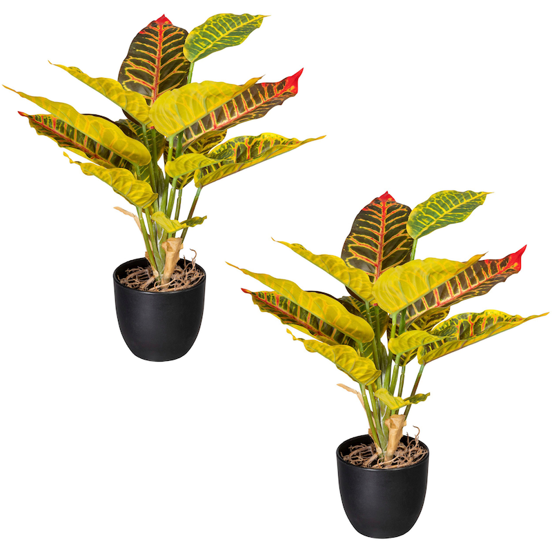 CREATIV GREEN Künstliche Zimmerpflanze »Grünpflanze Croton« im 2er Set grün Obermaterial: 100% Kunststoff