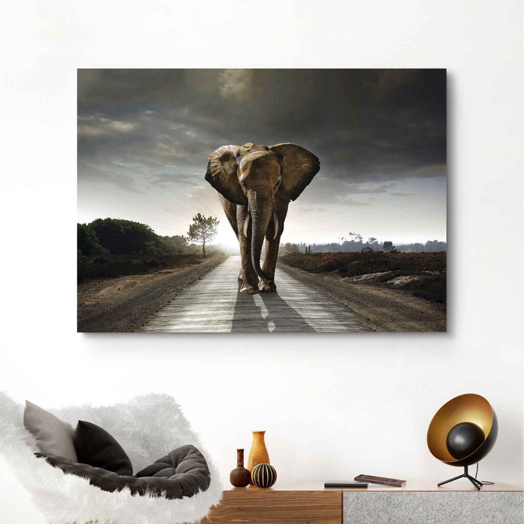 Reinders! Wandbild »Elefantenkönig Tiermotiv - Elefant - Natur«, (1 St.)