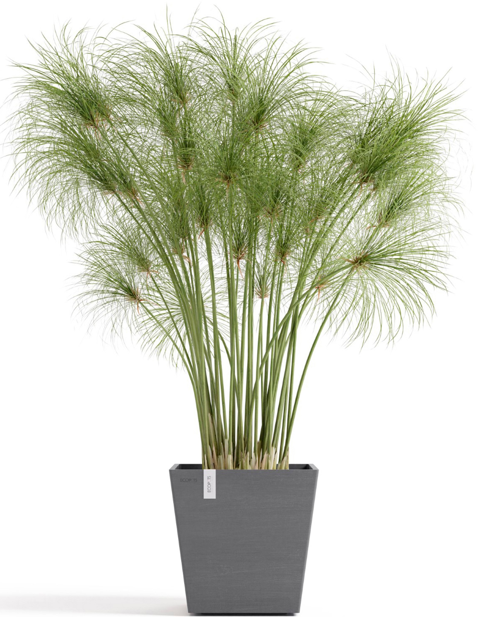 ECOPOTS Blumentopf »Rotterdam 25 + Wassersystem Grau« für innen und außen: frostsicher, bruchsicher und lichtbeständig