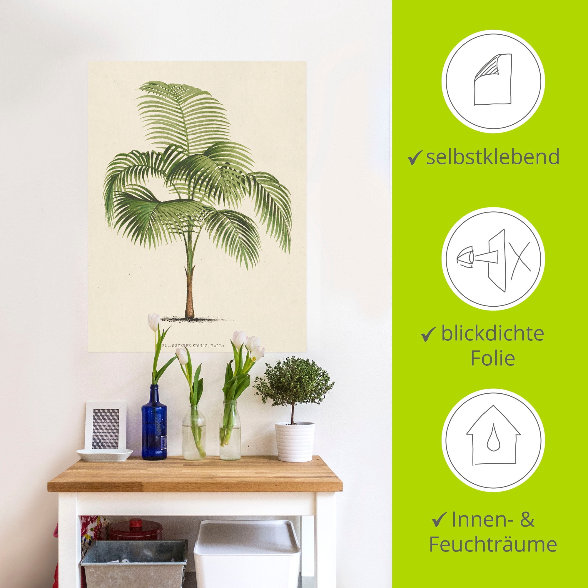 Artland Wandfolie »Palme I«, Pflanzen, (1 St.), selbstklebend