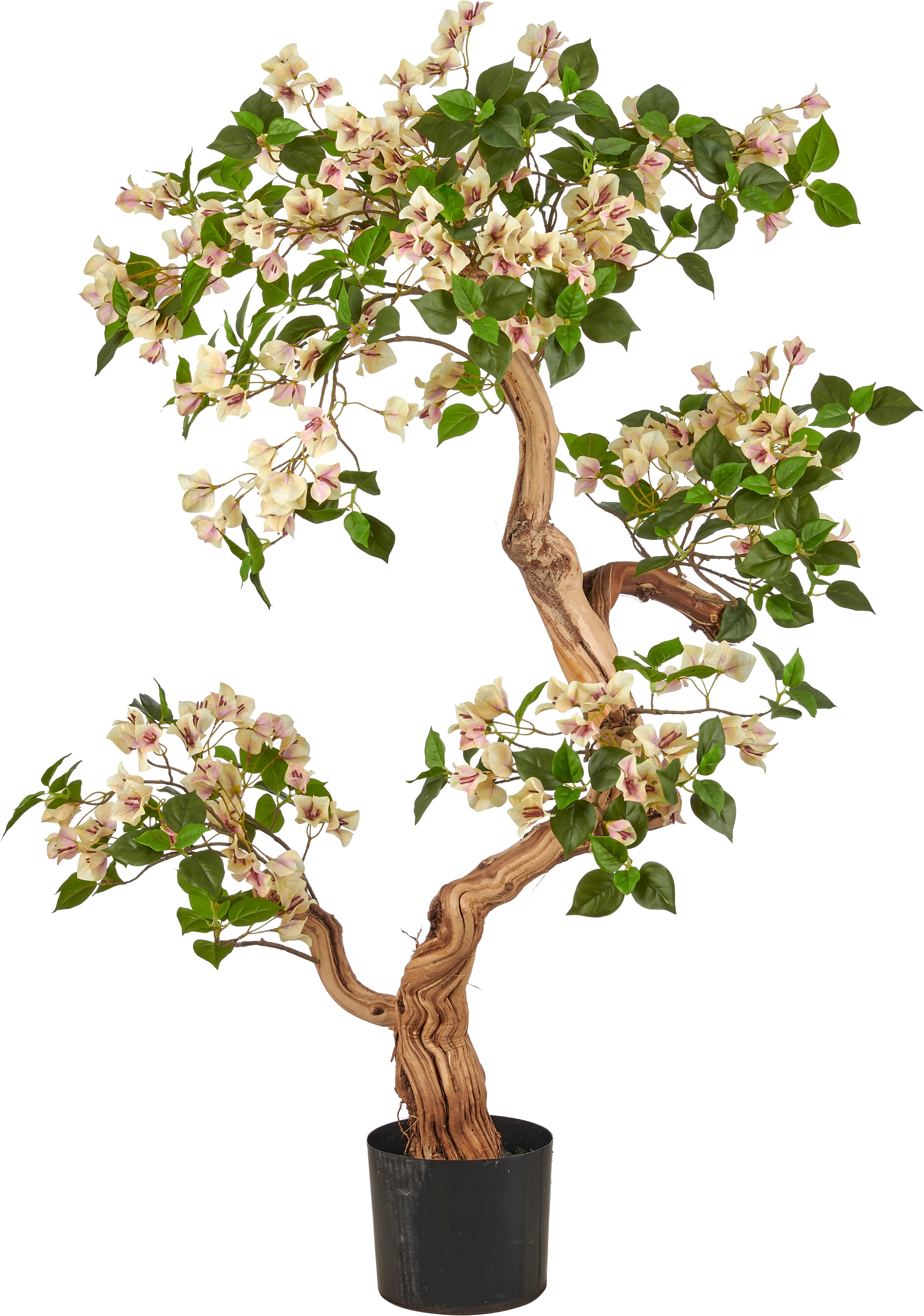Creativ green Kunstbaum »Bougainvillea« mit traumhaft schönen Blüten