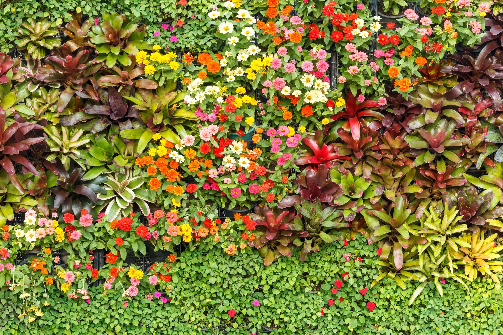 Papermoon Fototapete »BLUMEN-ABSTRAKT MUSTER GARTEN PFLANZEN DEKOR NATUR« günstig online kaufen