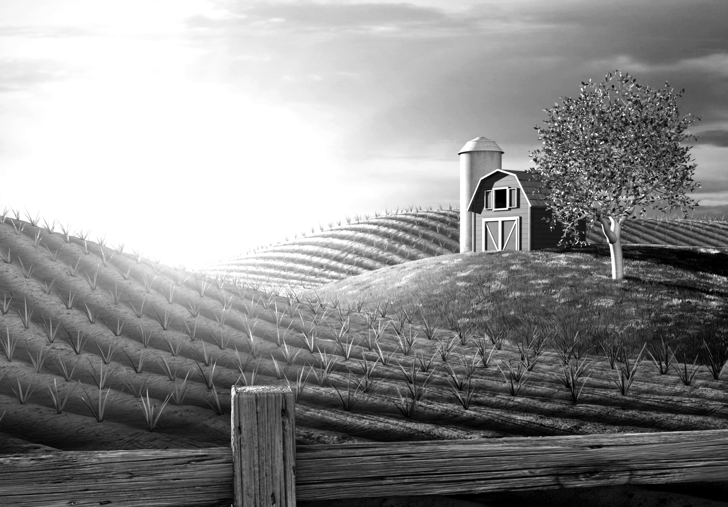 Papermoon Fototapete »Landschaft Schwarz & Weiß« günstig online kaufen