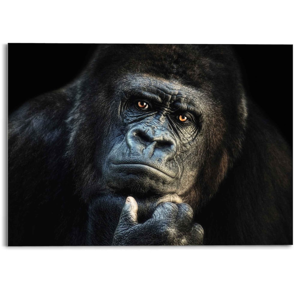 Reinders! Glasbild »Glasbild Gorilla Affe - Kräftig - Nachdenklich«, Affen, (1 St.)