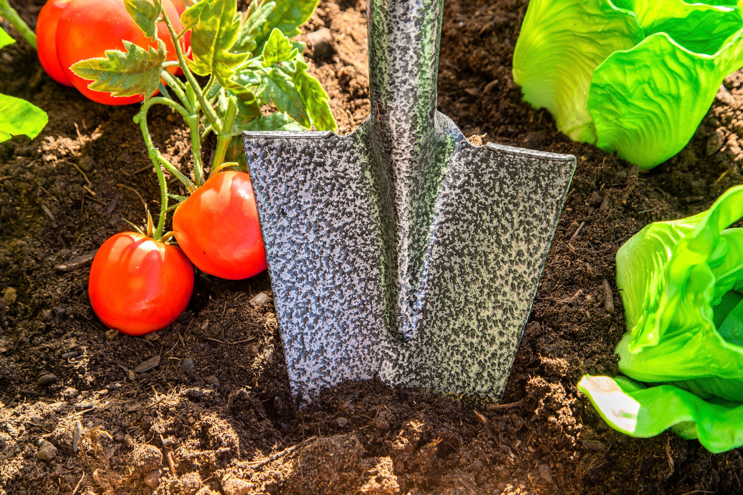 Spear Head Spade Spaten »Spear Head XS«, 76 cm, Schaufelblatt aus hochwertig verarbeitetem Stahl
