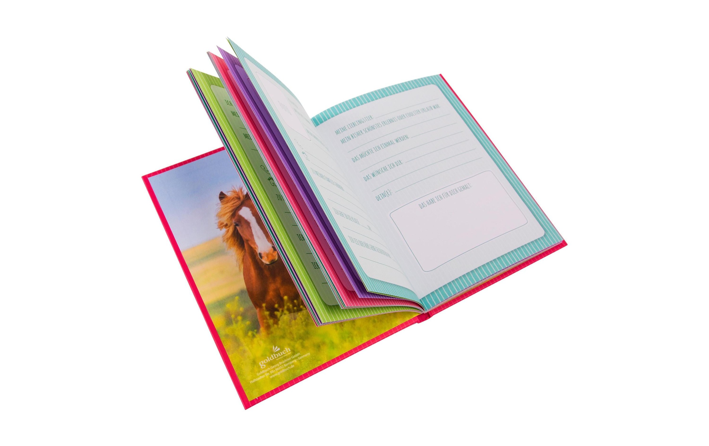 Goldbuch Poesiealbum »Freundebuch Pferdeliebe«