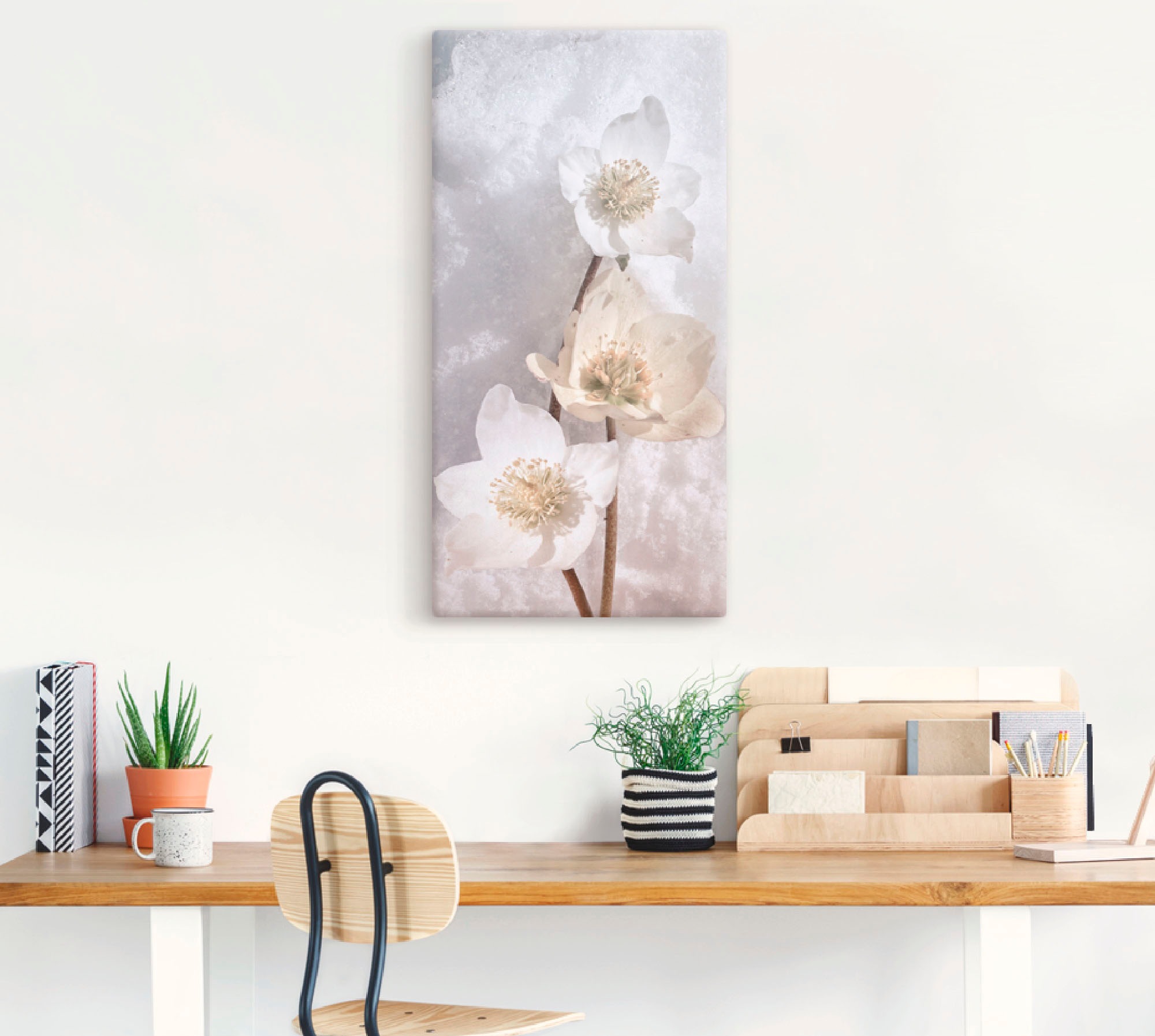 Artland Wandbild »Christrose im Schnee«, Blumen, (1 St.), als Leinwandbild, günstig online kaufen