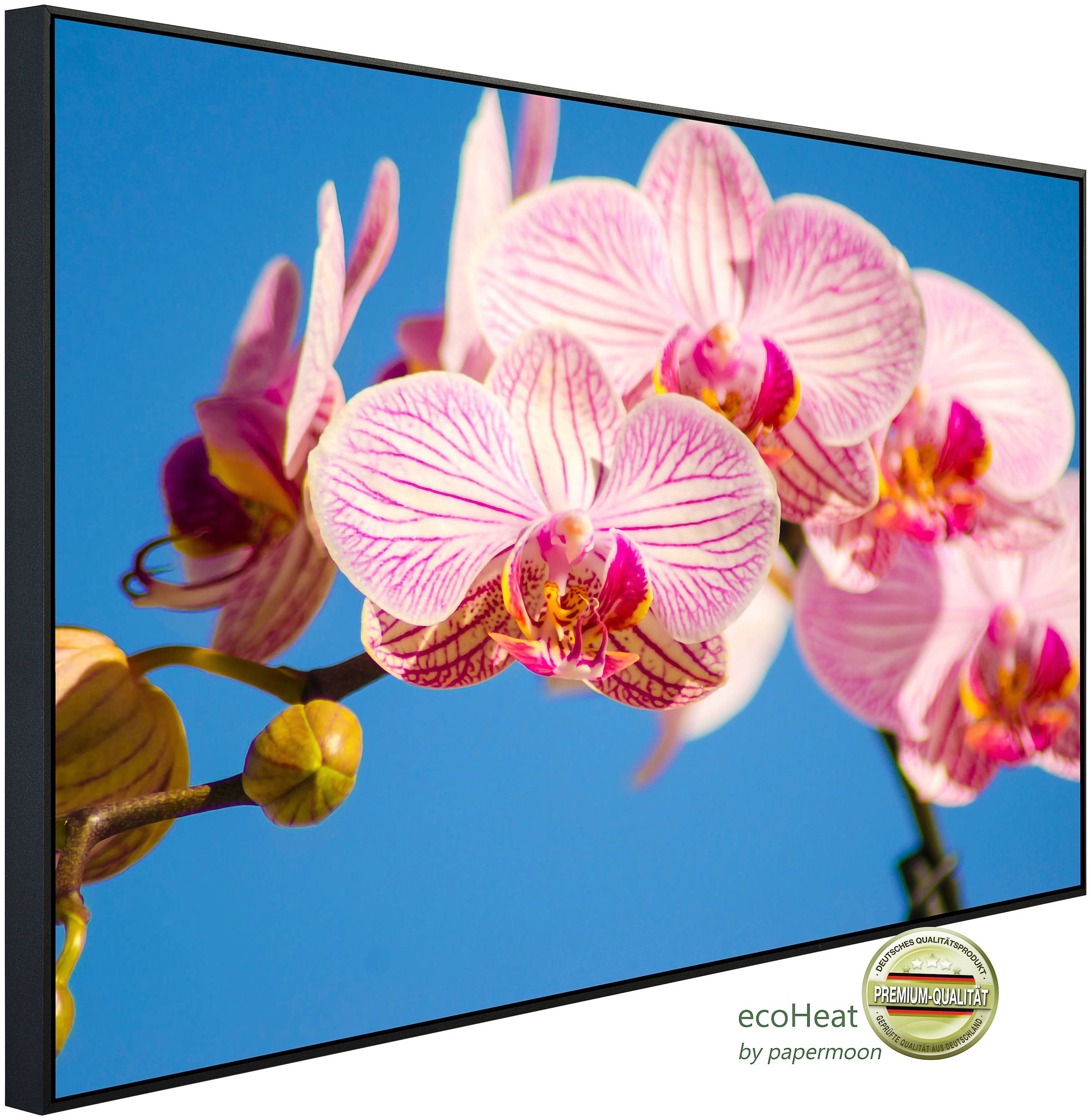 Papermoon Infrarotheizung »Rosa Phalaenopsis Orchidee«, sehr angenehme Stra günstig online kaufen