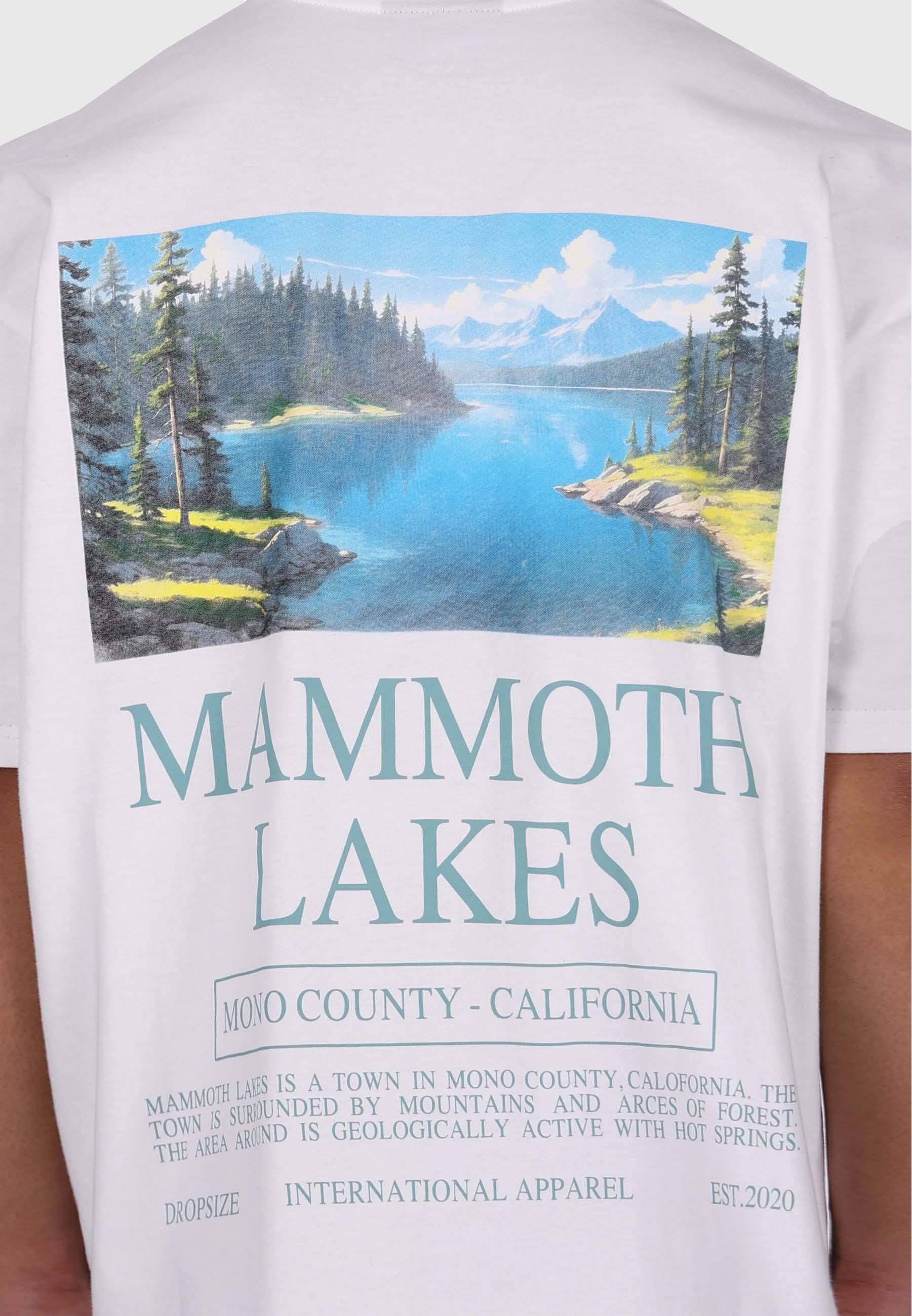 Dropsize T-Shirt »Dropsize HEAVY OVERSIZE LAKES T-SHIRT« 1 Stk.