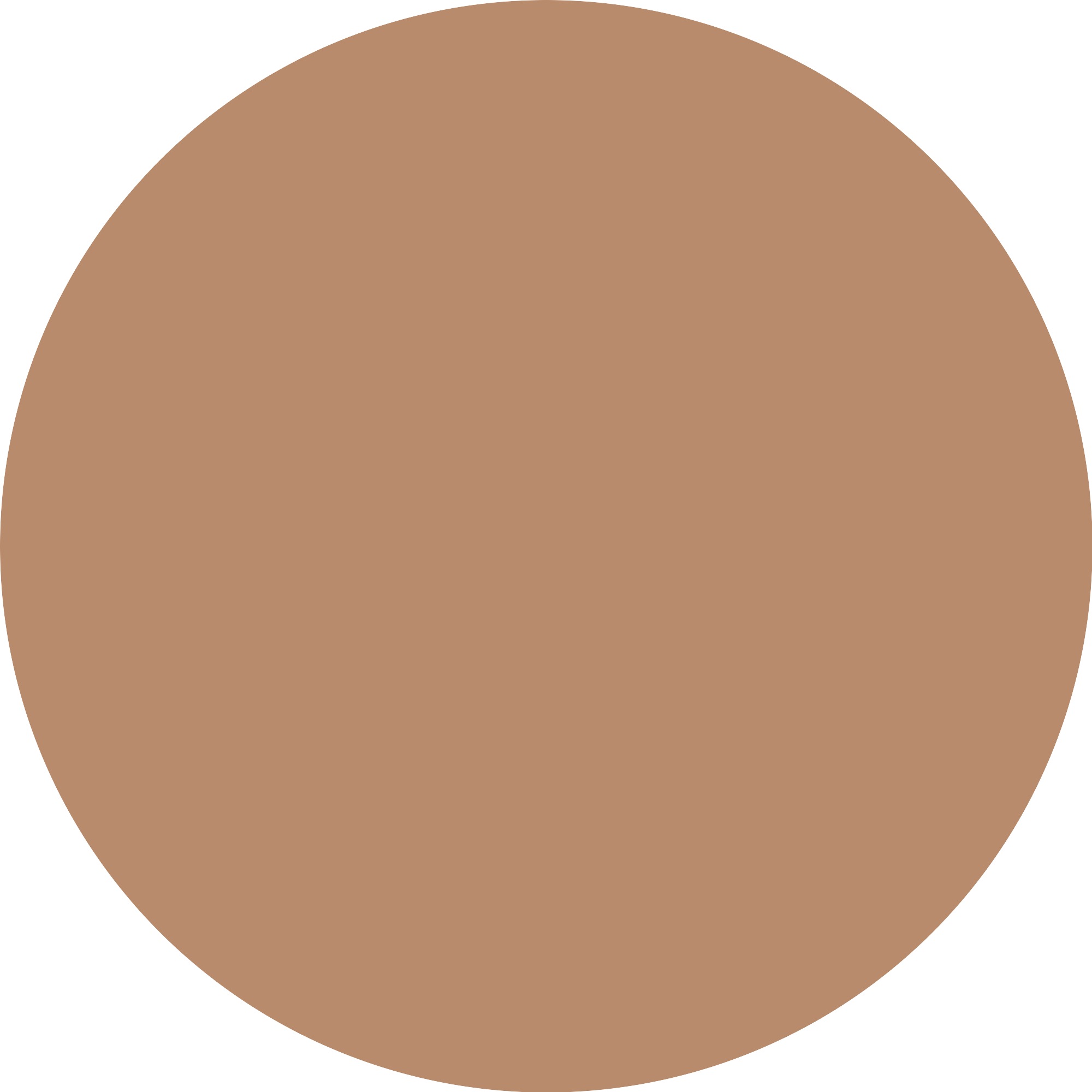 Essence Foundation »Silky BLUR HYDRATING LONGWEAR FOUNDATION«