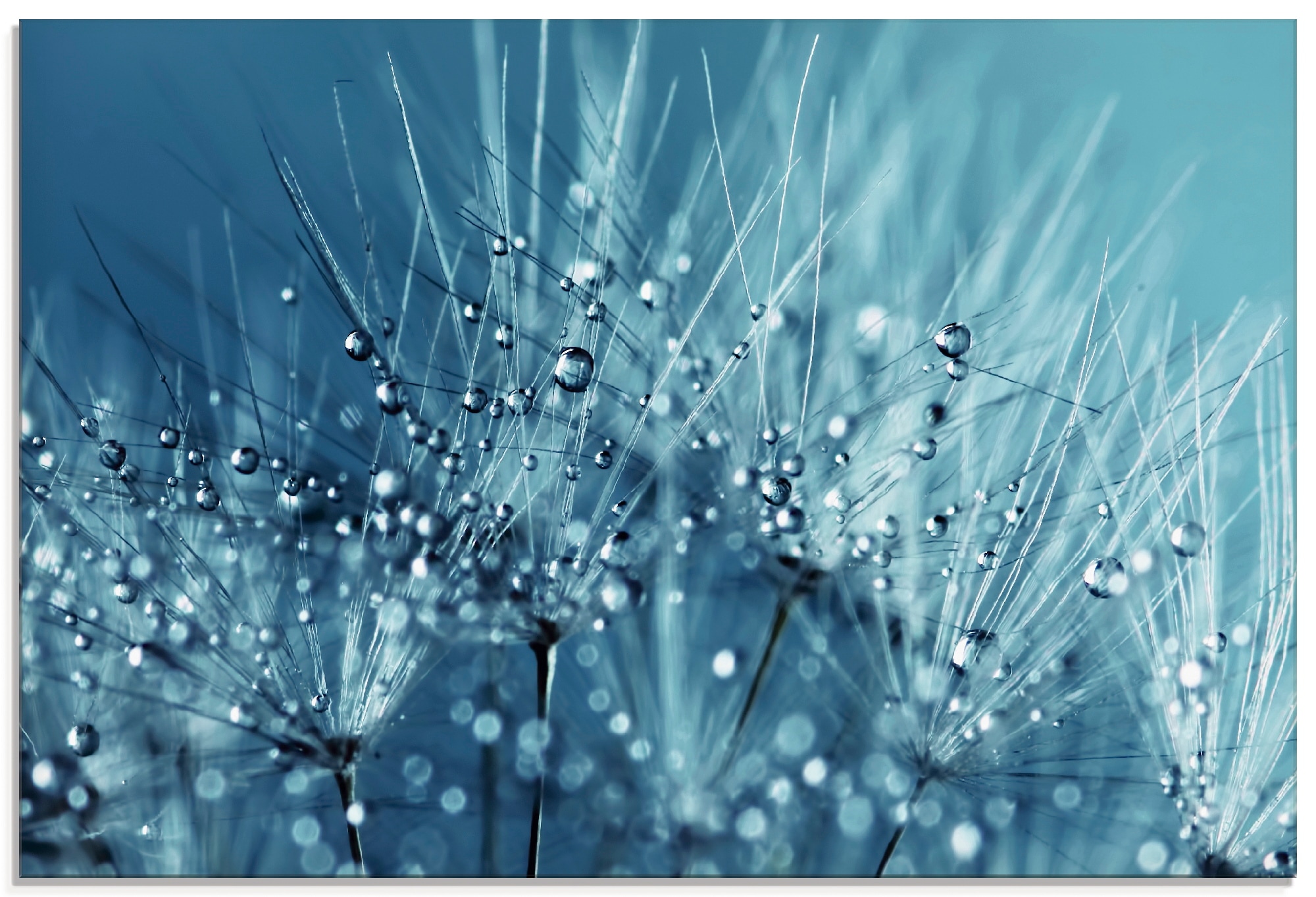 Artland Glasbild »Blaue glitzernde Pusteblume« Blumen 1 Stk. tlg. in versch günstig online kaufen