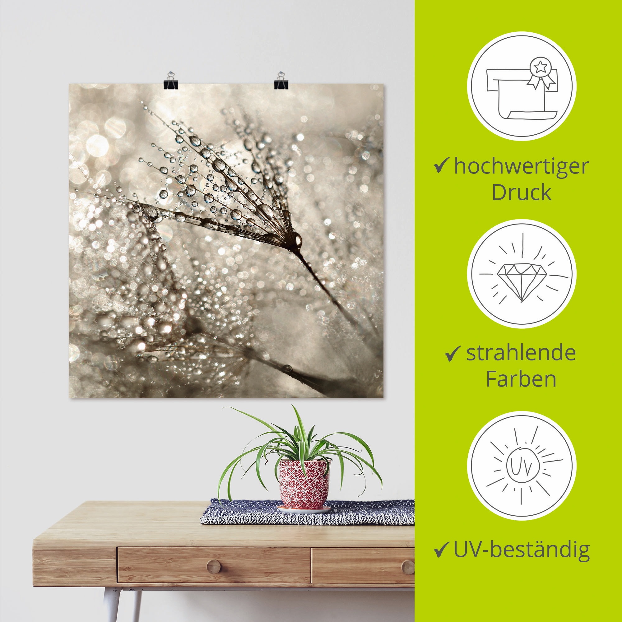 Artland Wandbild »Pusteblume Tautropfen«, Blumen, (1 St.), als Alubild, Outdoorbild, Leinwandbild, Poster, Wandaufkleber