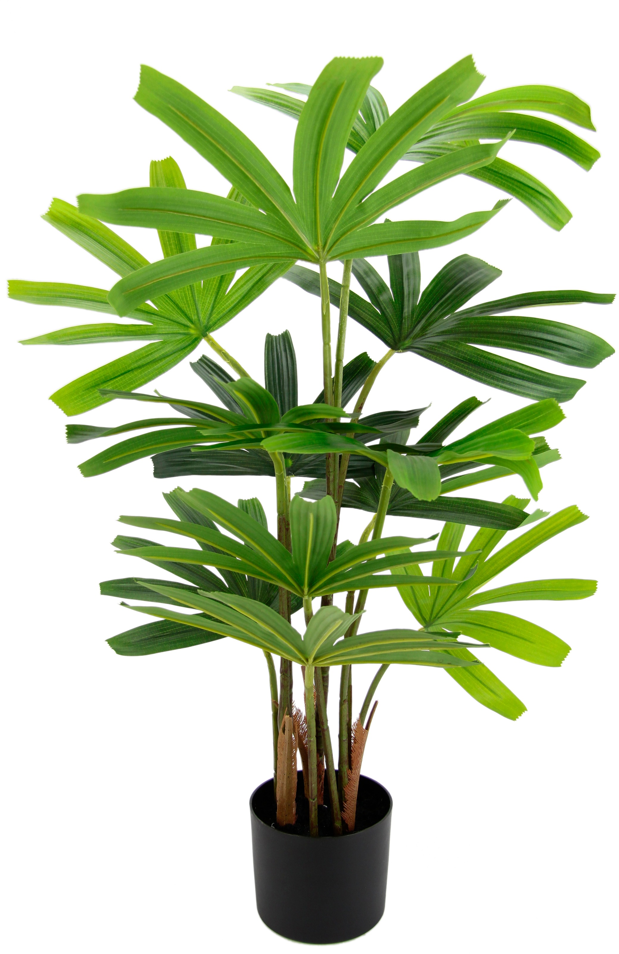 I.GE.A. Kunstbaum »Palme Rhapis im Topf Künstliche Palme Excelsa Steckenpal günstig online kaufen