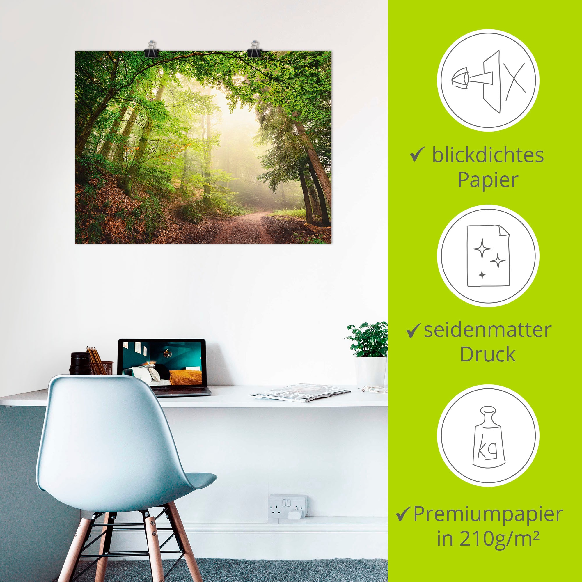 Artland Wandbild »Natürliche Torbögen durch Bäume«, Wald, (1 St.), als Alubild, Outdoorbild, Poster, Wandaufkleber in verschied. Größen